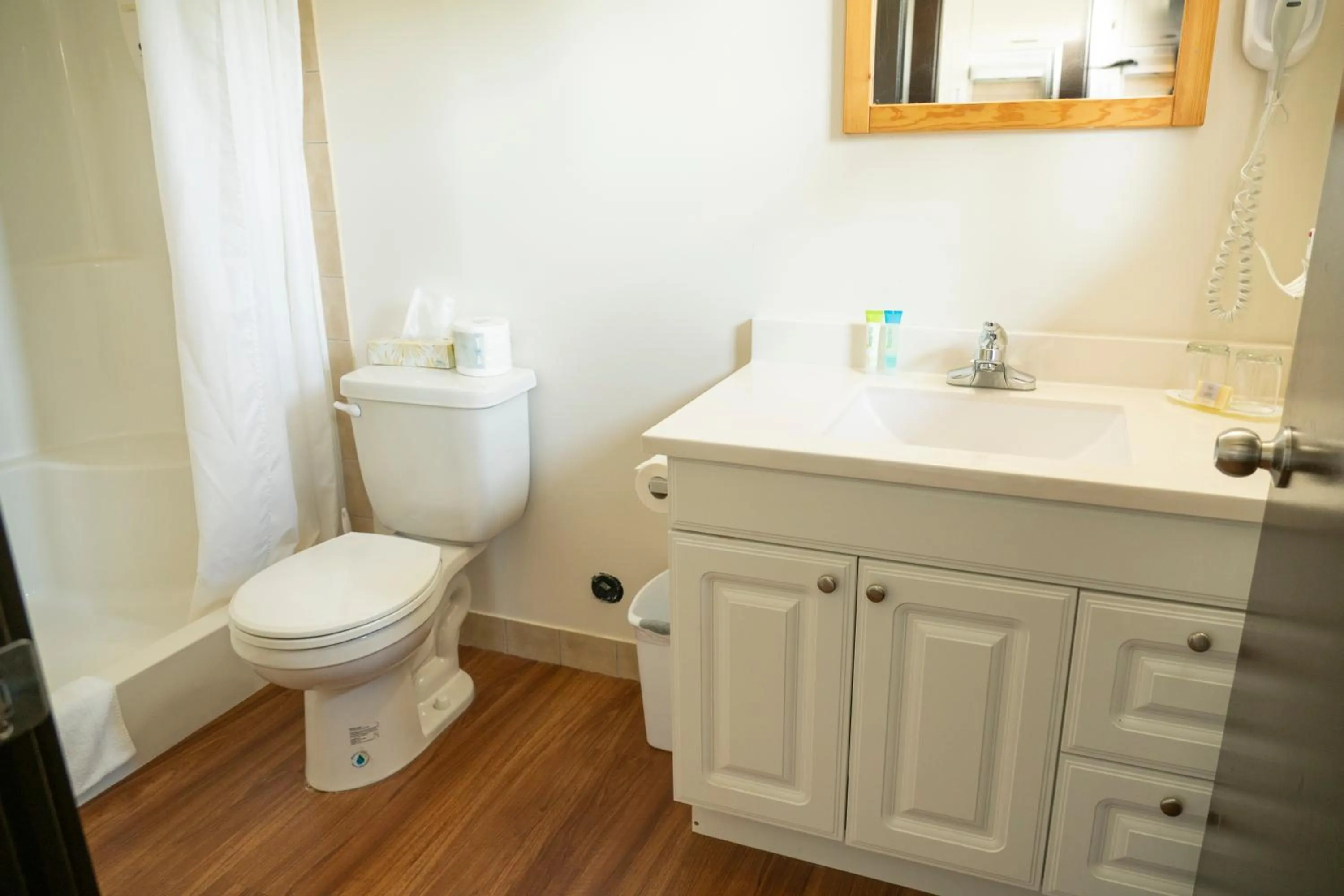 Bathroom in Rocky Mountain Ski Lodge