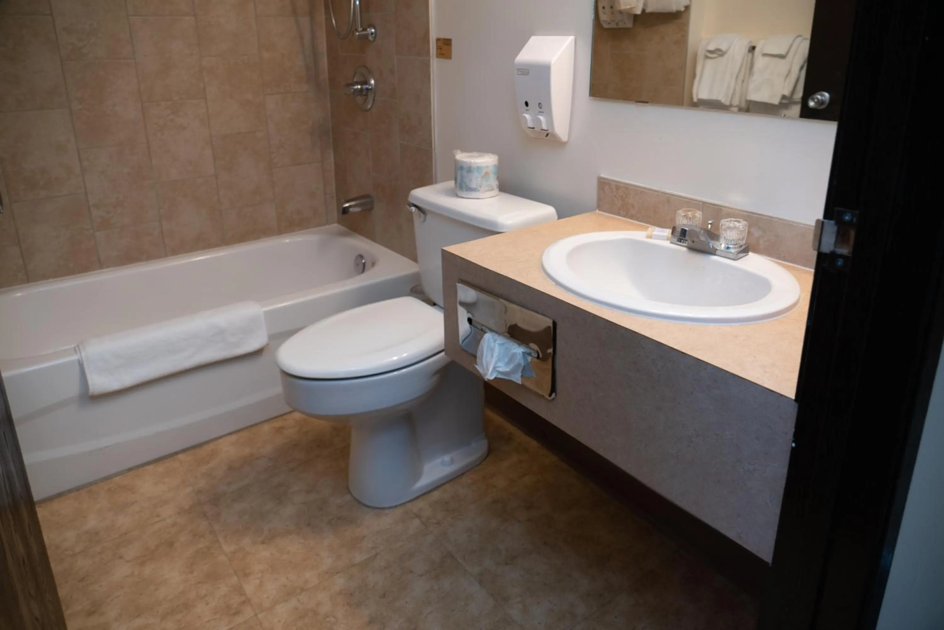 Bathroom in Rocky Mountain Ski Lodge