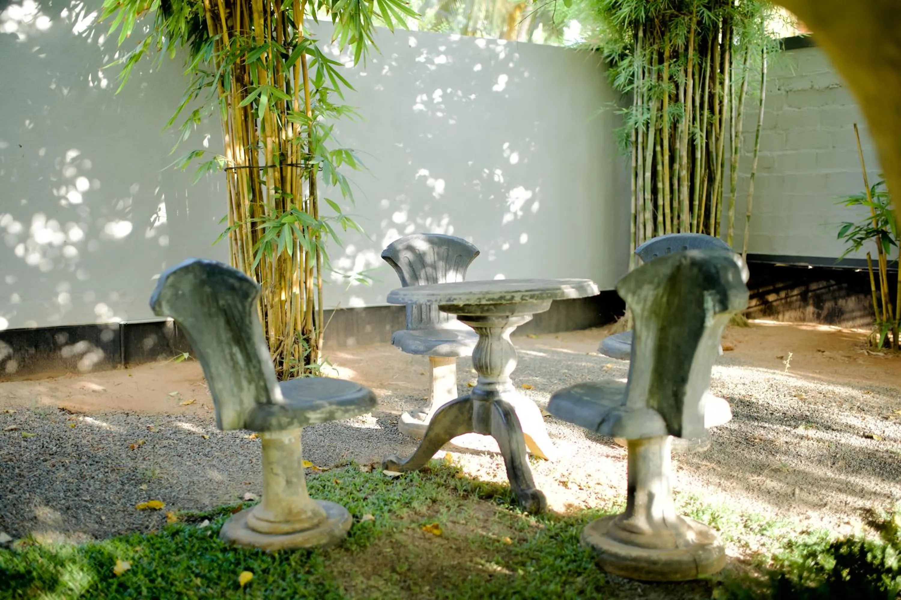 Garden in Sevenday Hotel