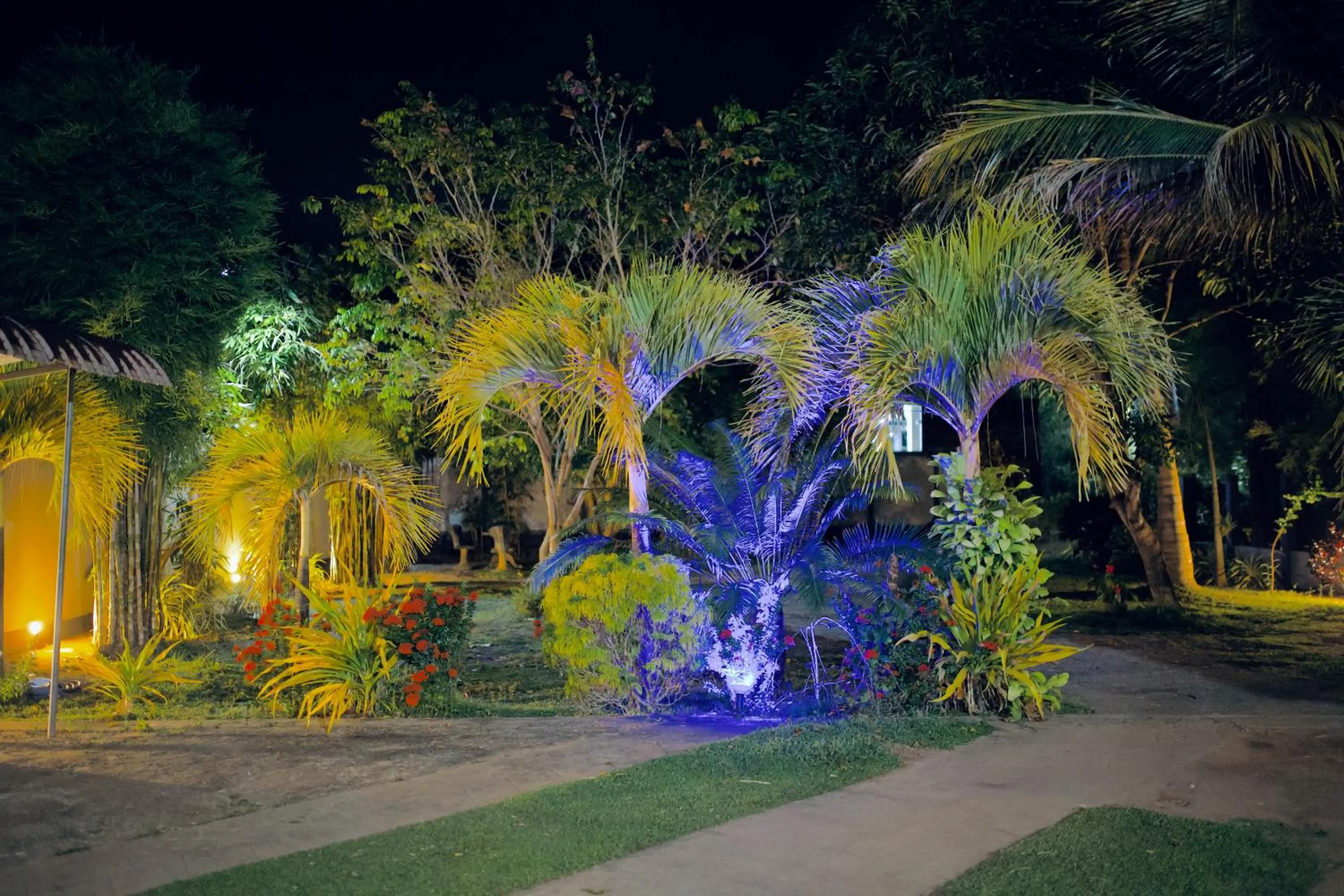 Night in Sevenday Hotel