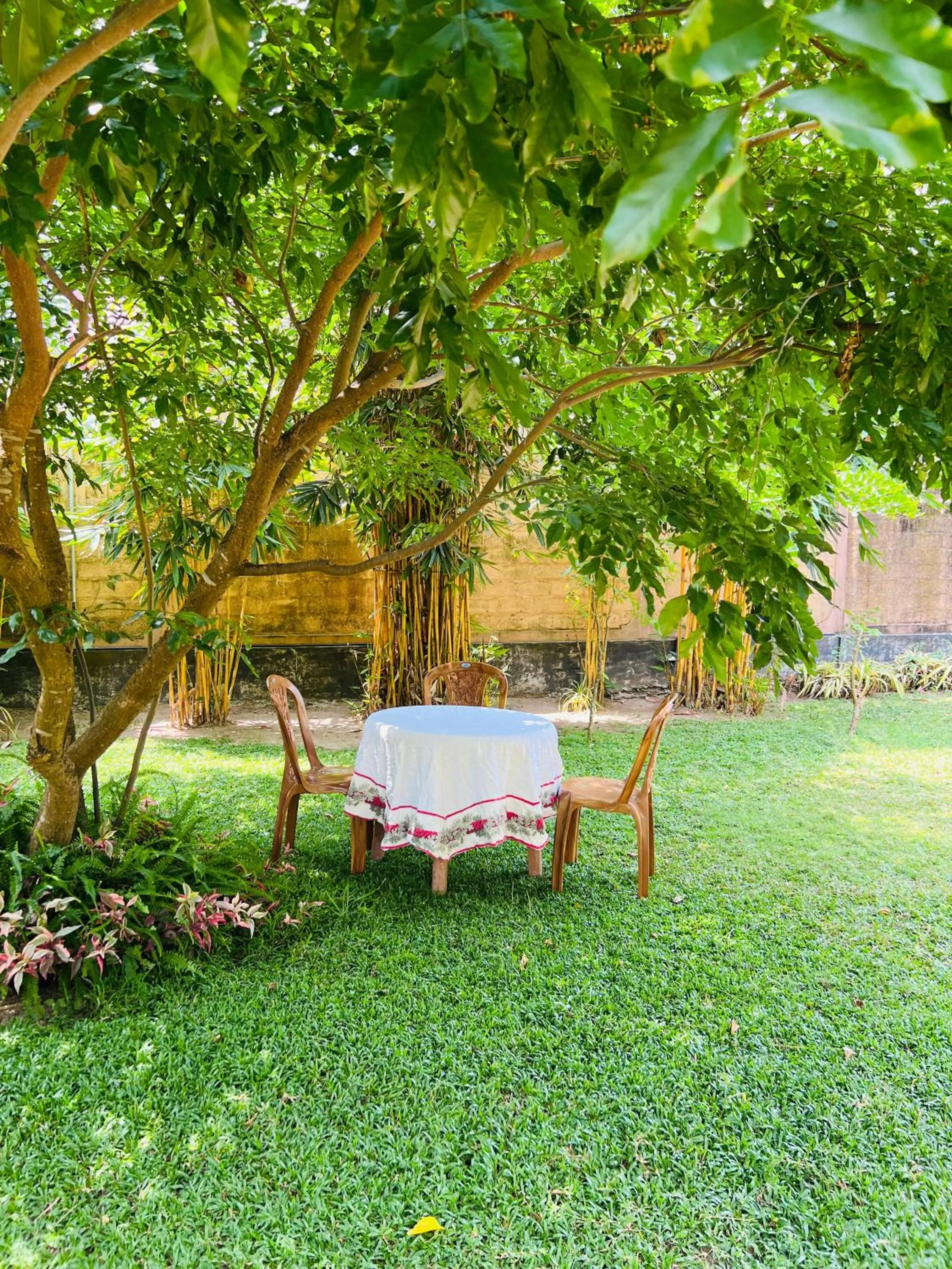 Garden in Sevenday Hotel