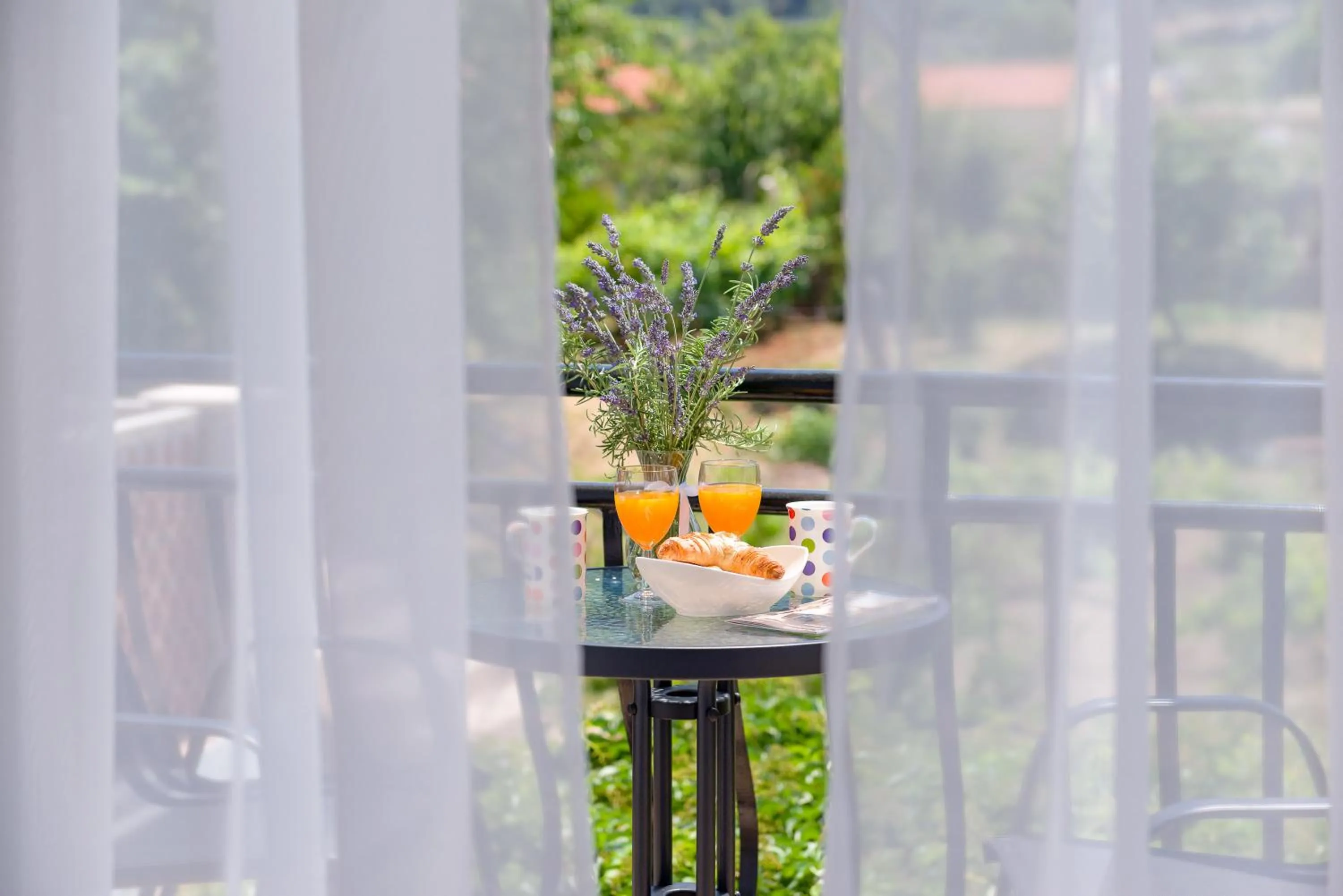 Garden in B&B Aurora