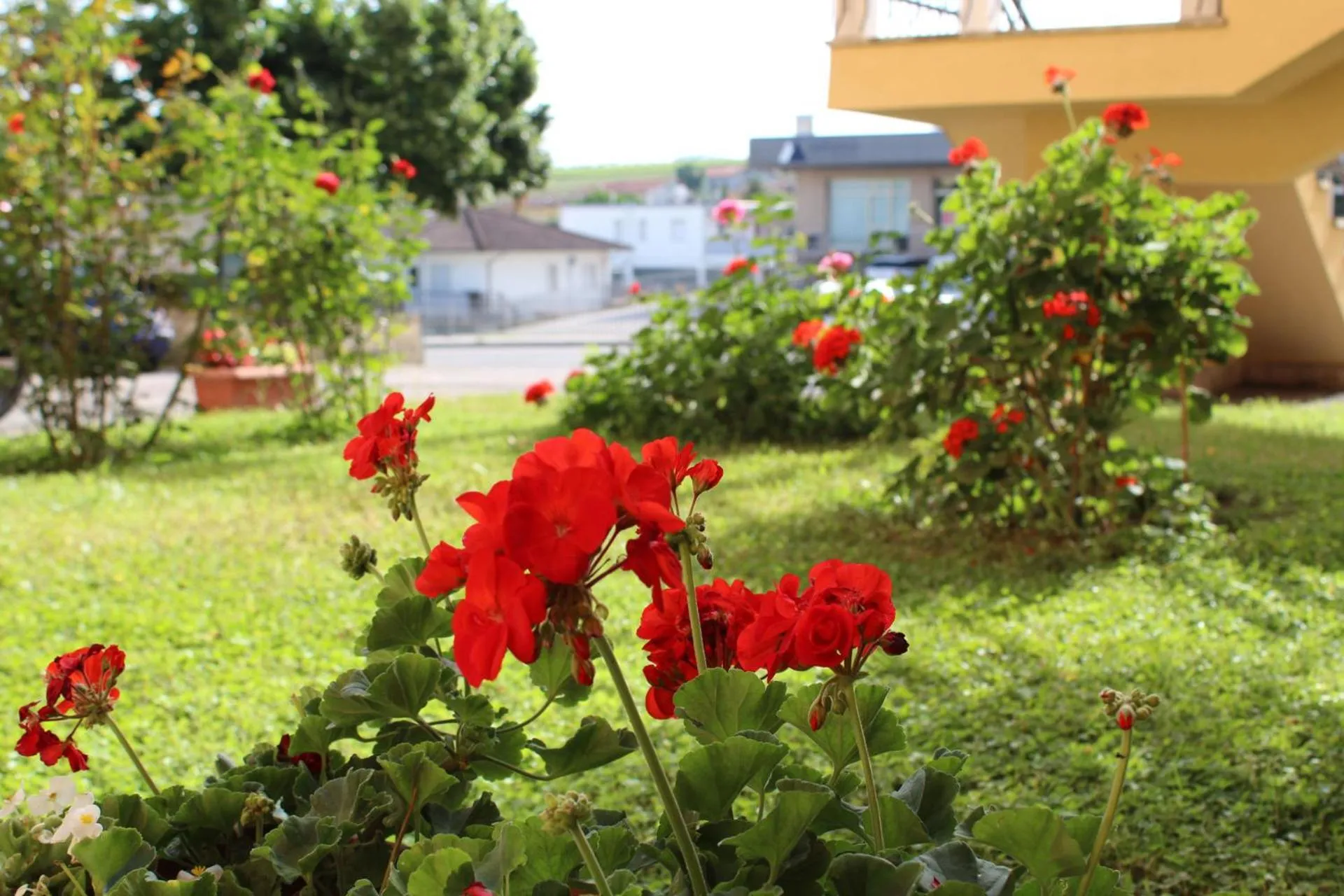 Garden in Hotel La Ruota Dei Pavoni