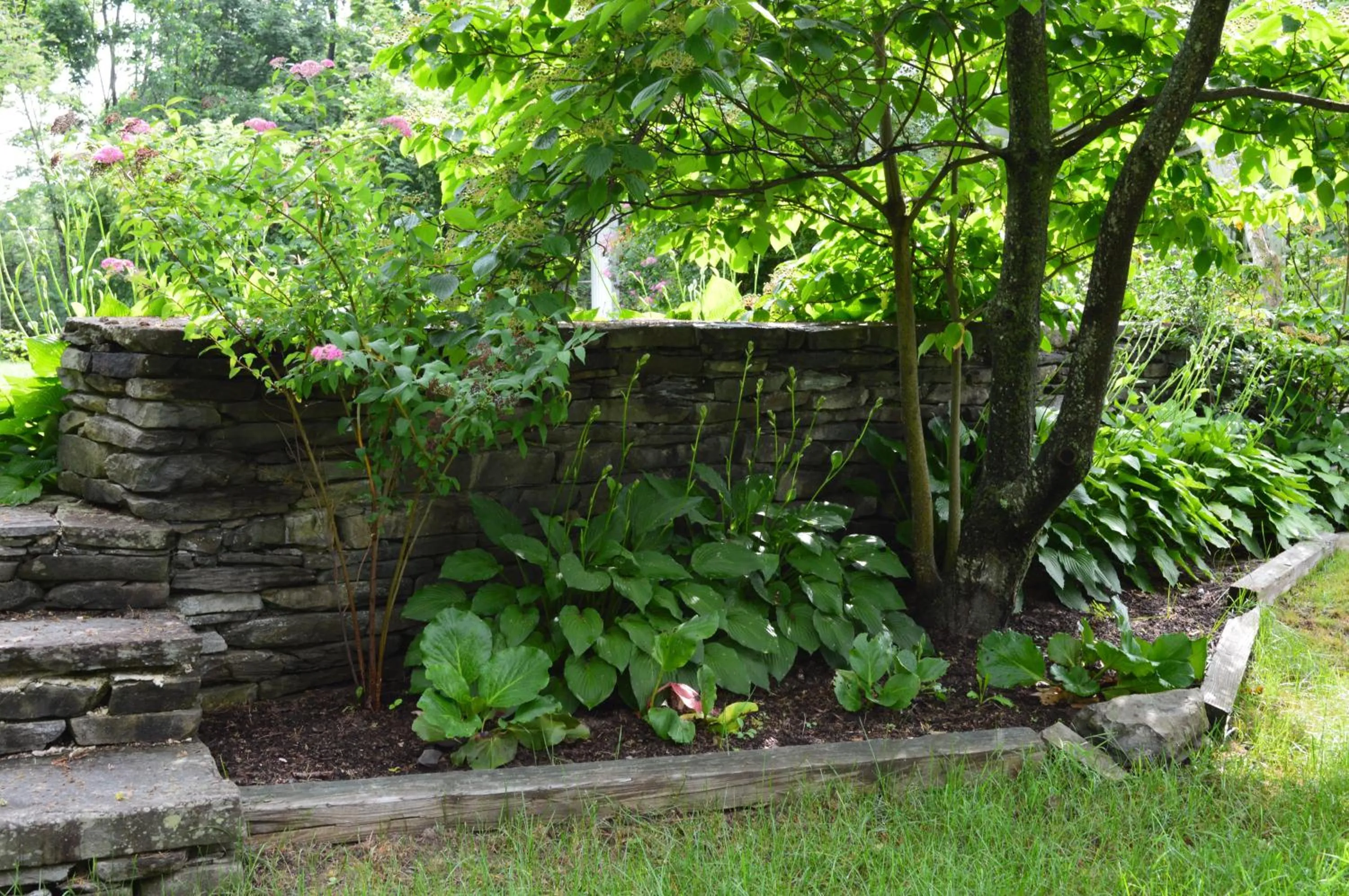 Day in The Brewster Inn