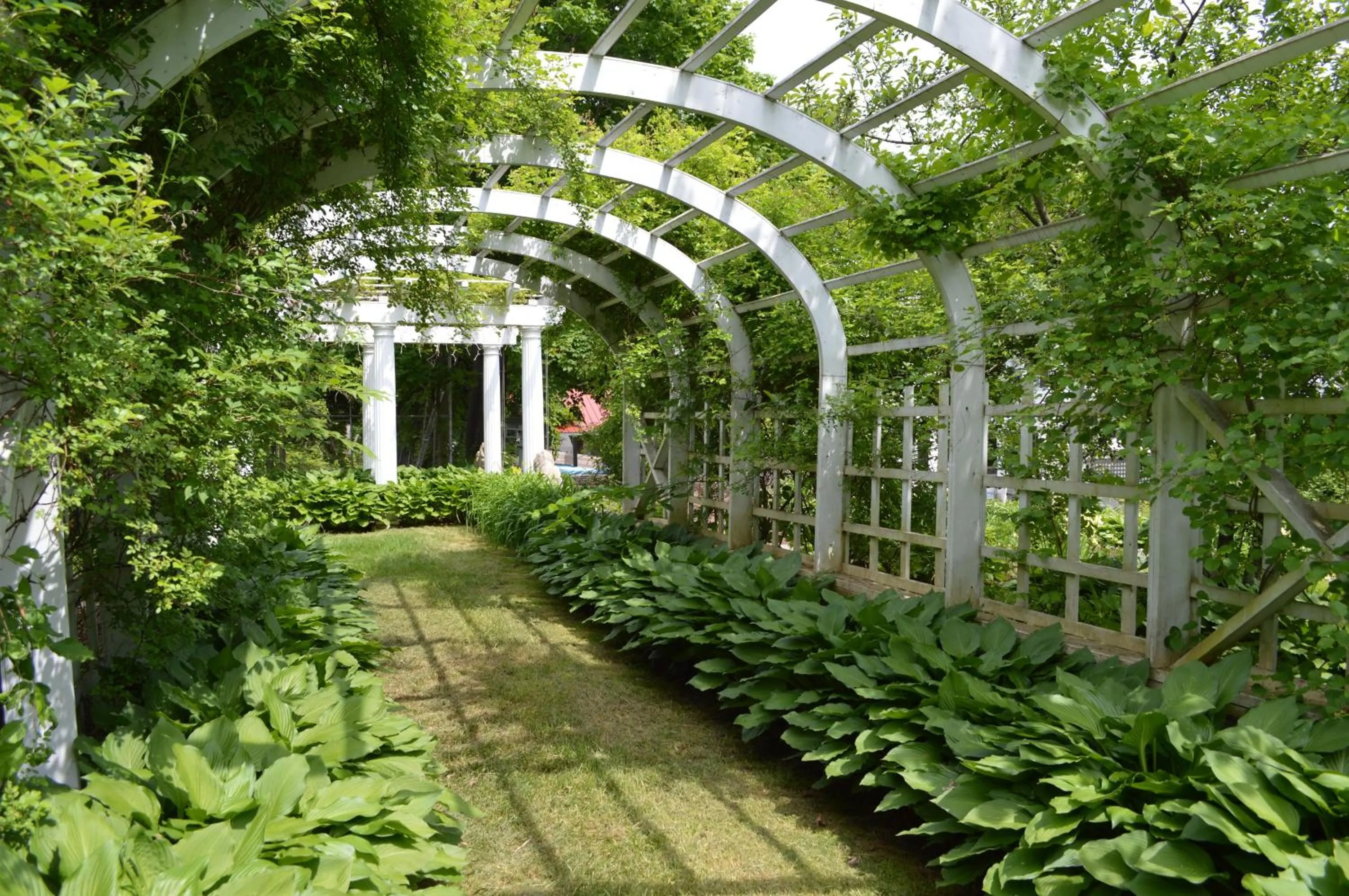 Day in The Brewster Inn