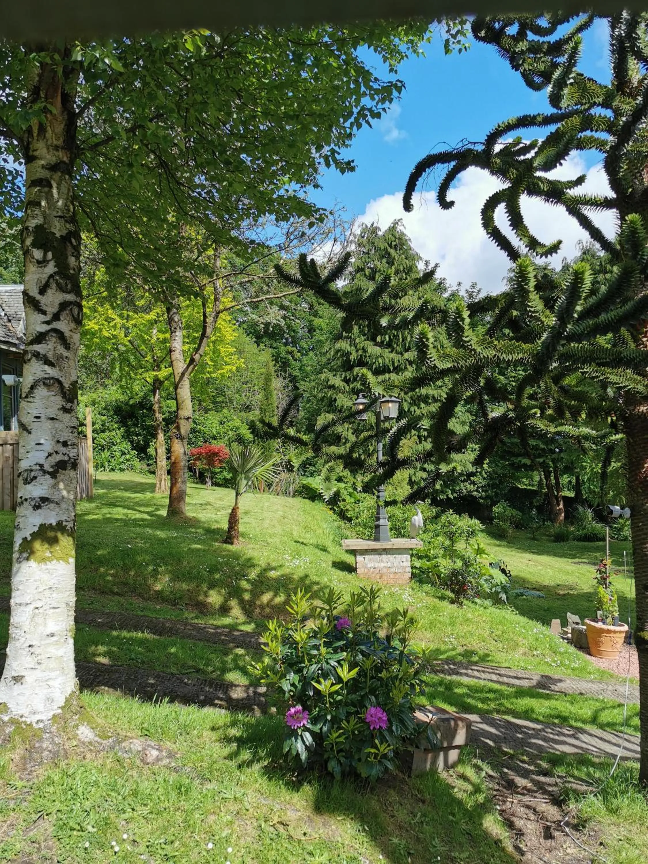 Garden in Ivybank Villa