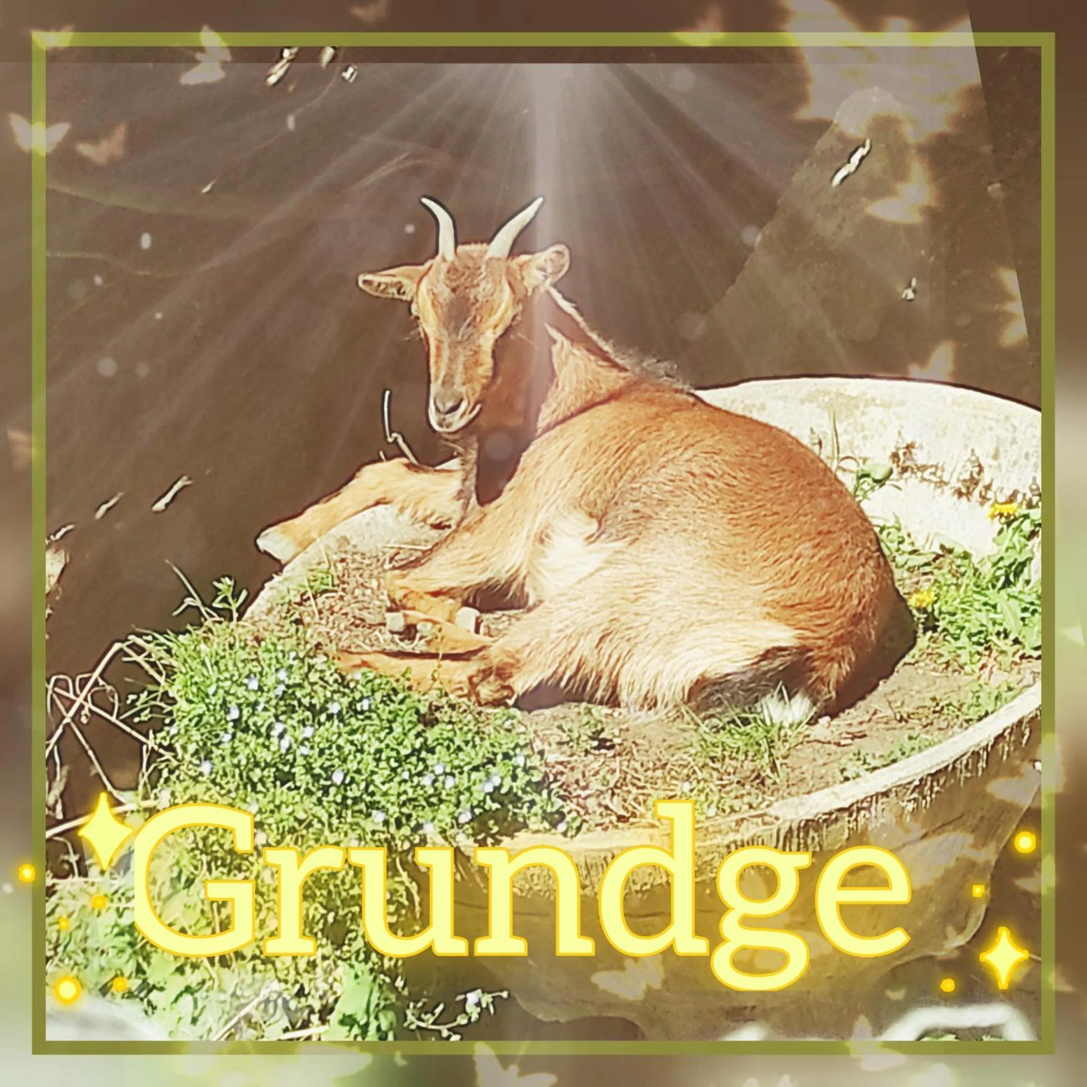 Animals in Skymist Maison d'hôtes