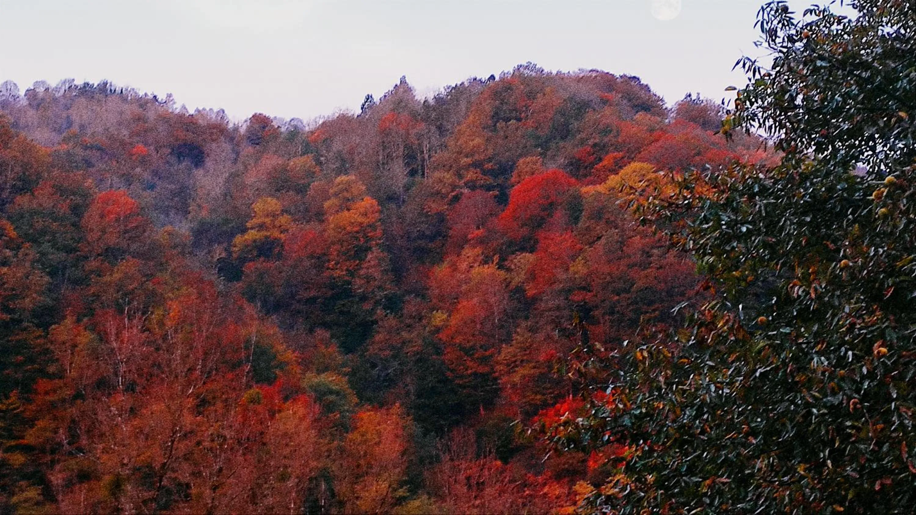 Natural landscape in Skymist Maison d'hôtes