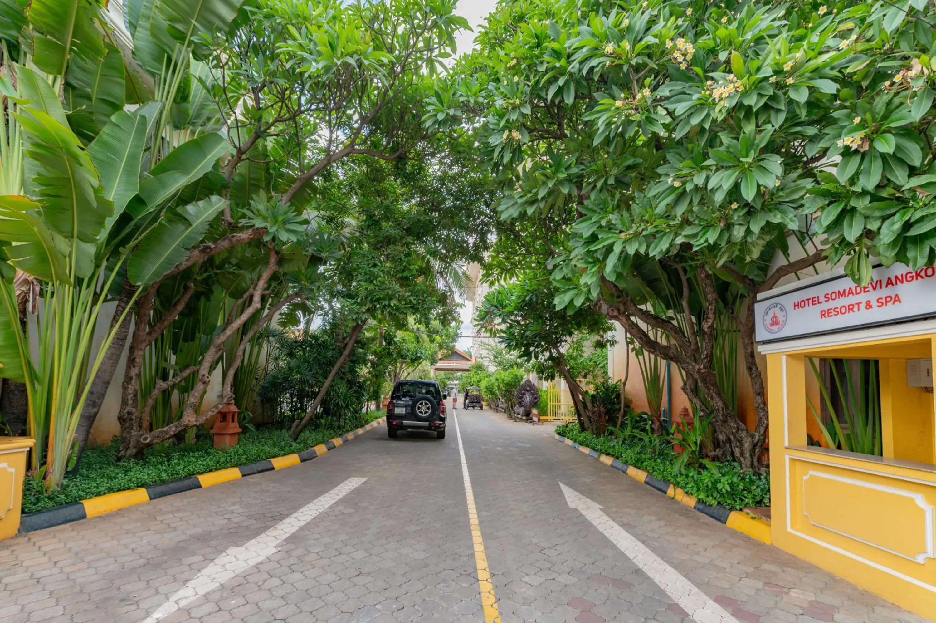 Natural landscape in Hotel Somadevi Angkor Resort & Spa