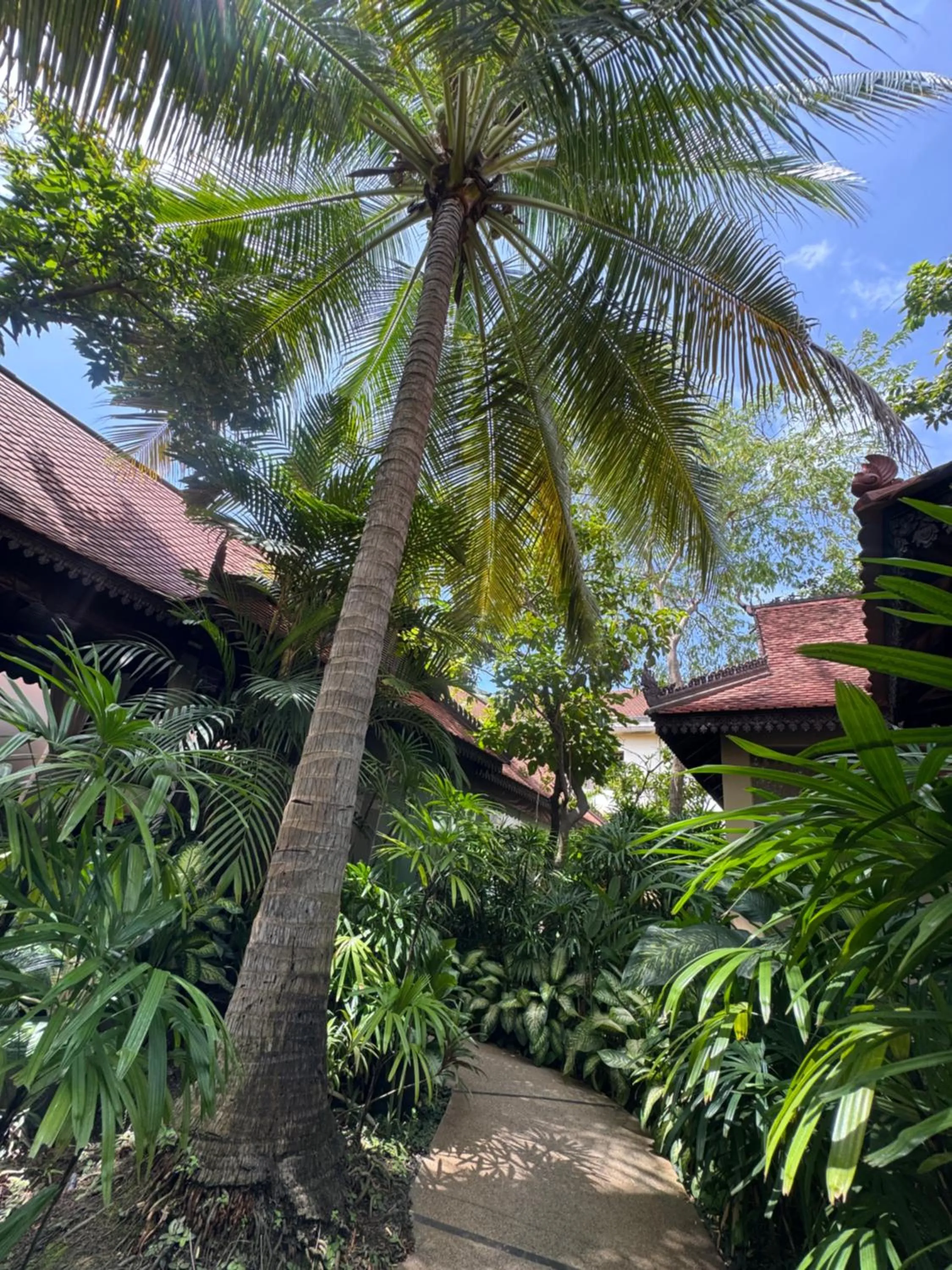 Garden in Hotel Somadevi Angkor Resort & Spa