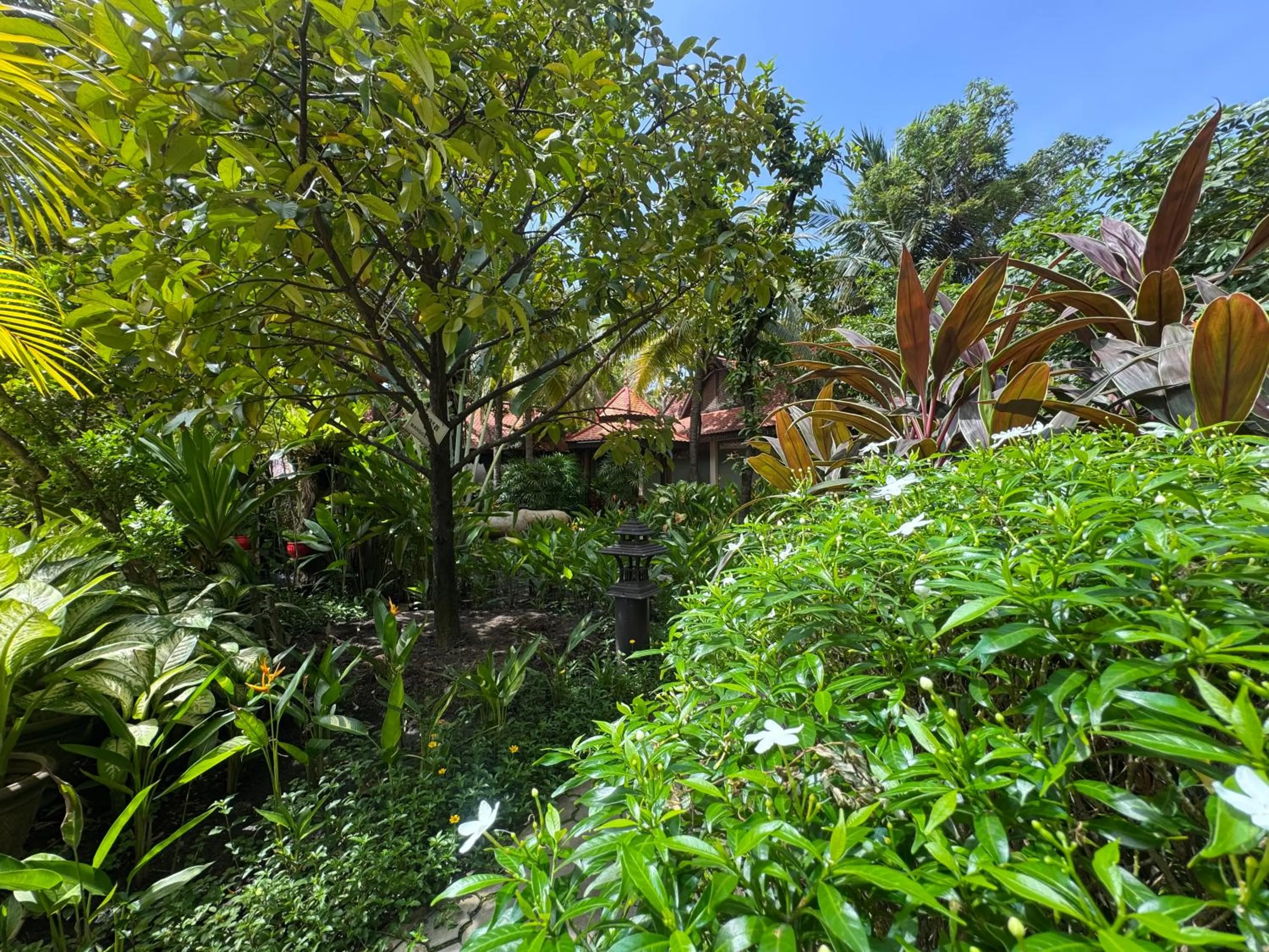 Garden in Hotel Somadevi Angkor Resort & Spa