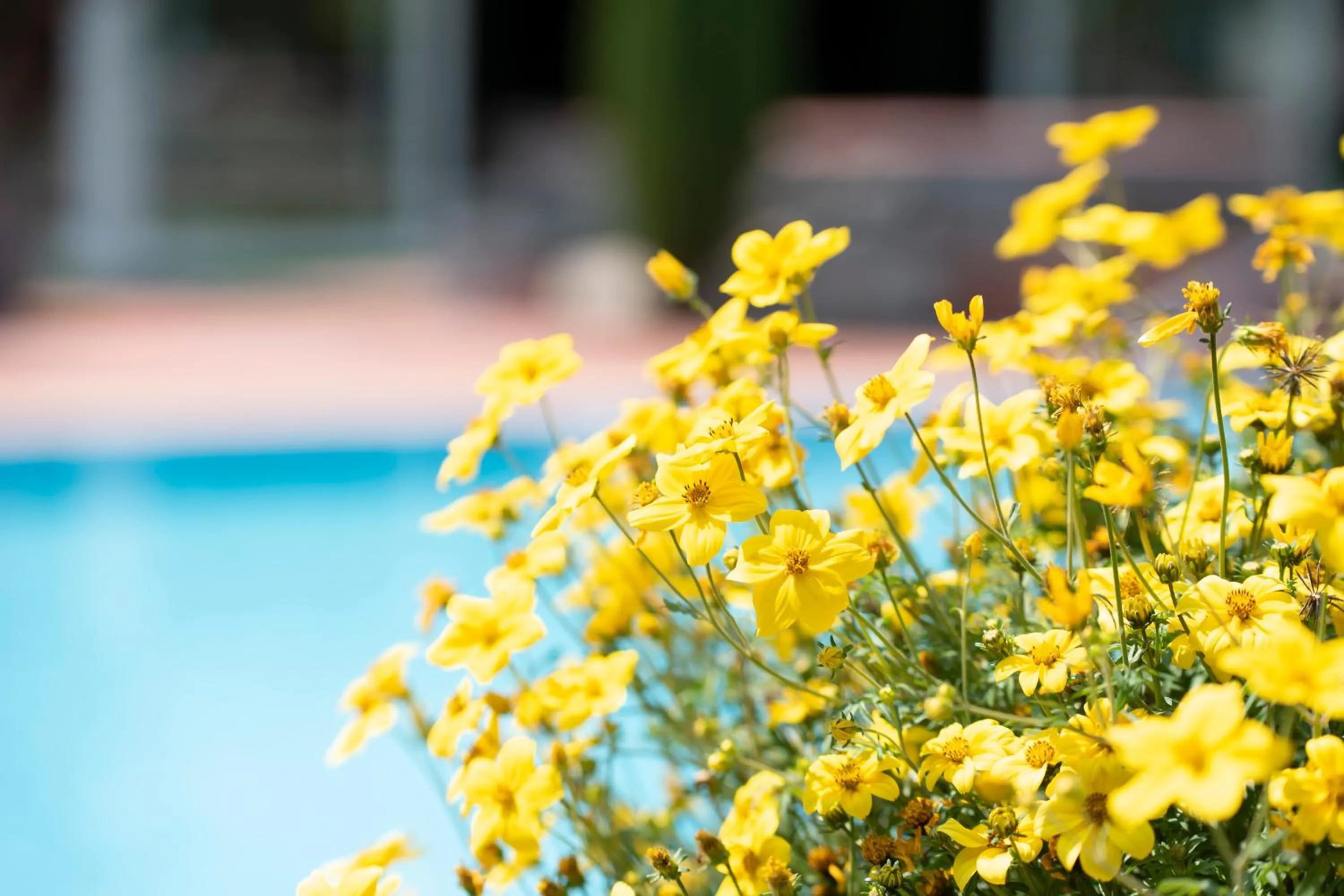 Swimming pool in Glanzhof Hotel & Apartments