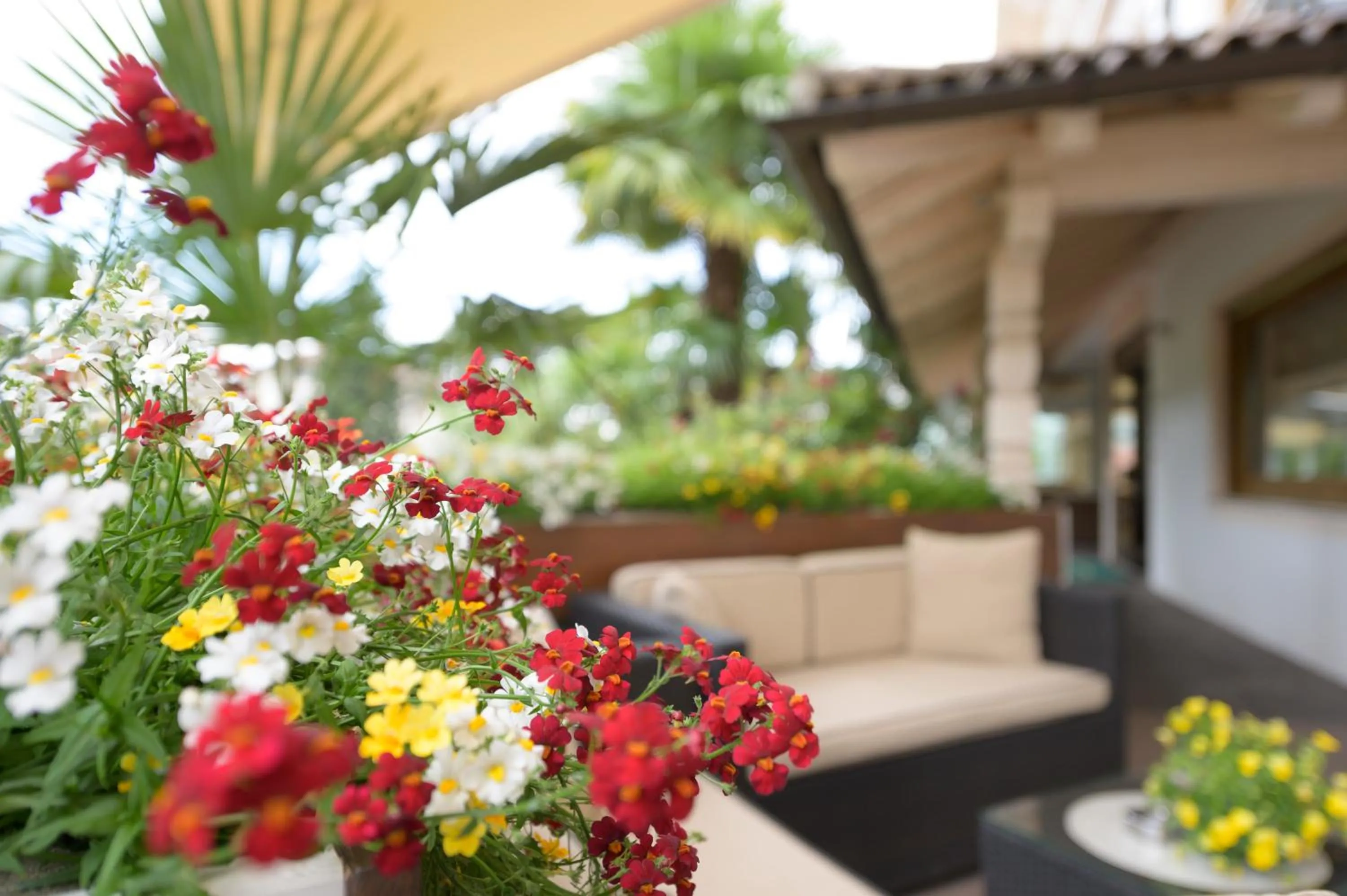 Balcony/Terrace in Glanzhof Hotel & Apartments