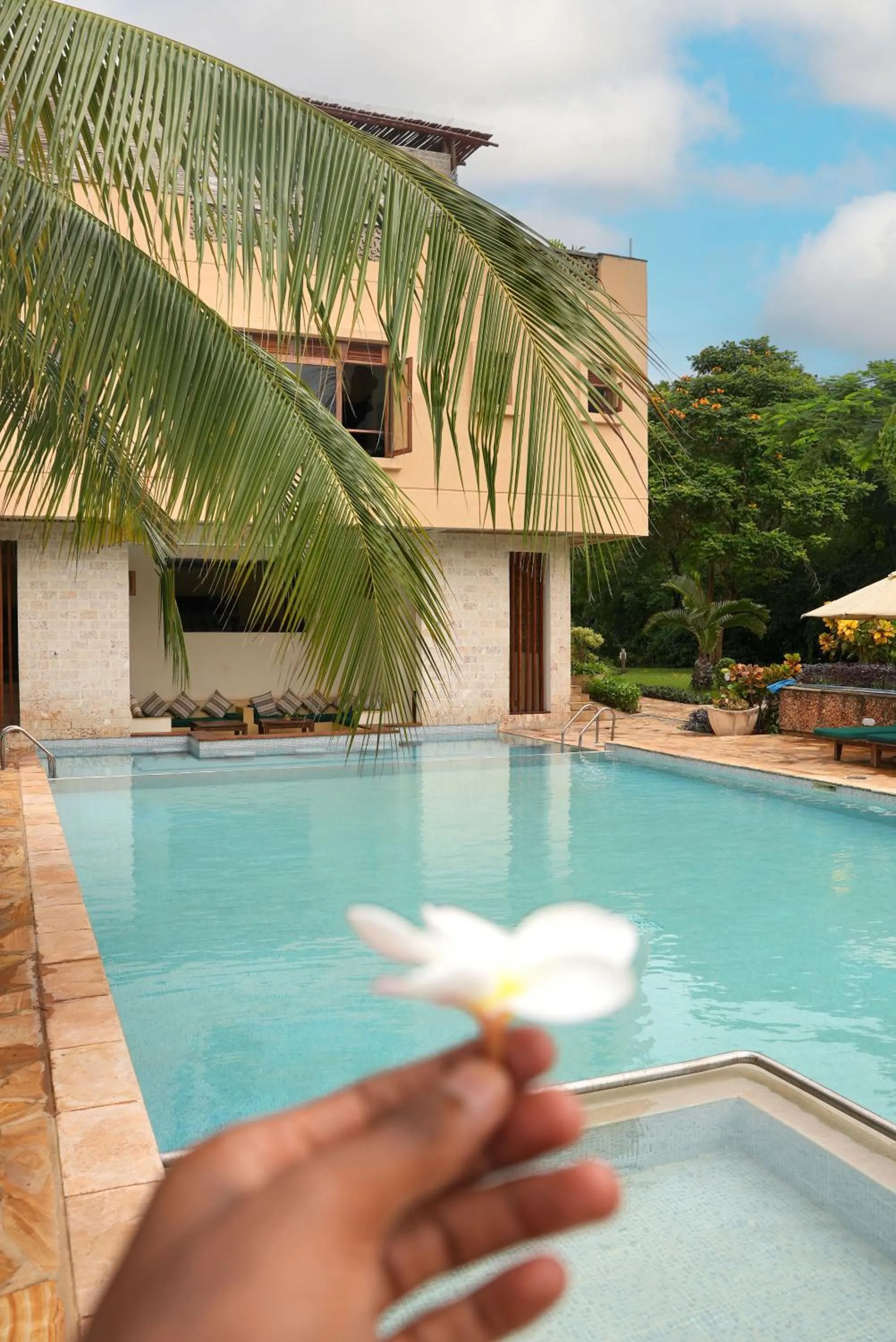 Swimming pool in Villa Mandhari - Diani Beach