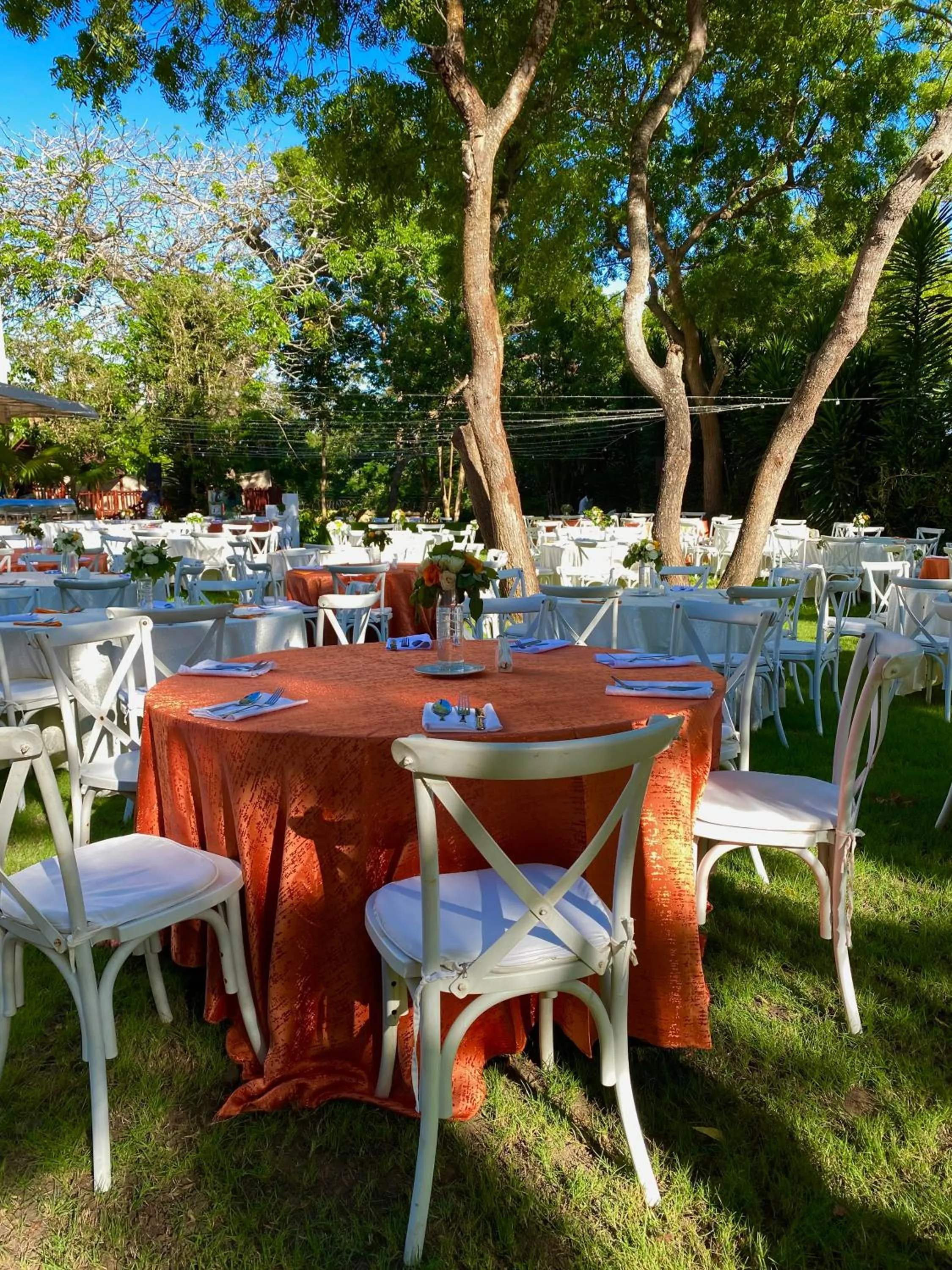 Garden in Villa Mandhari - Diani Beach