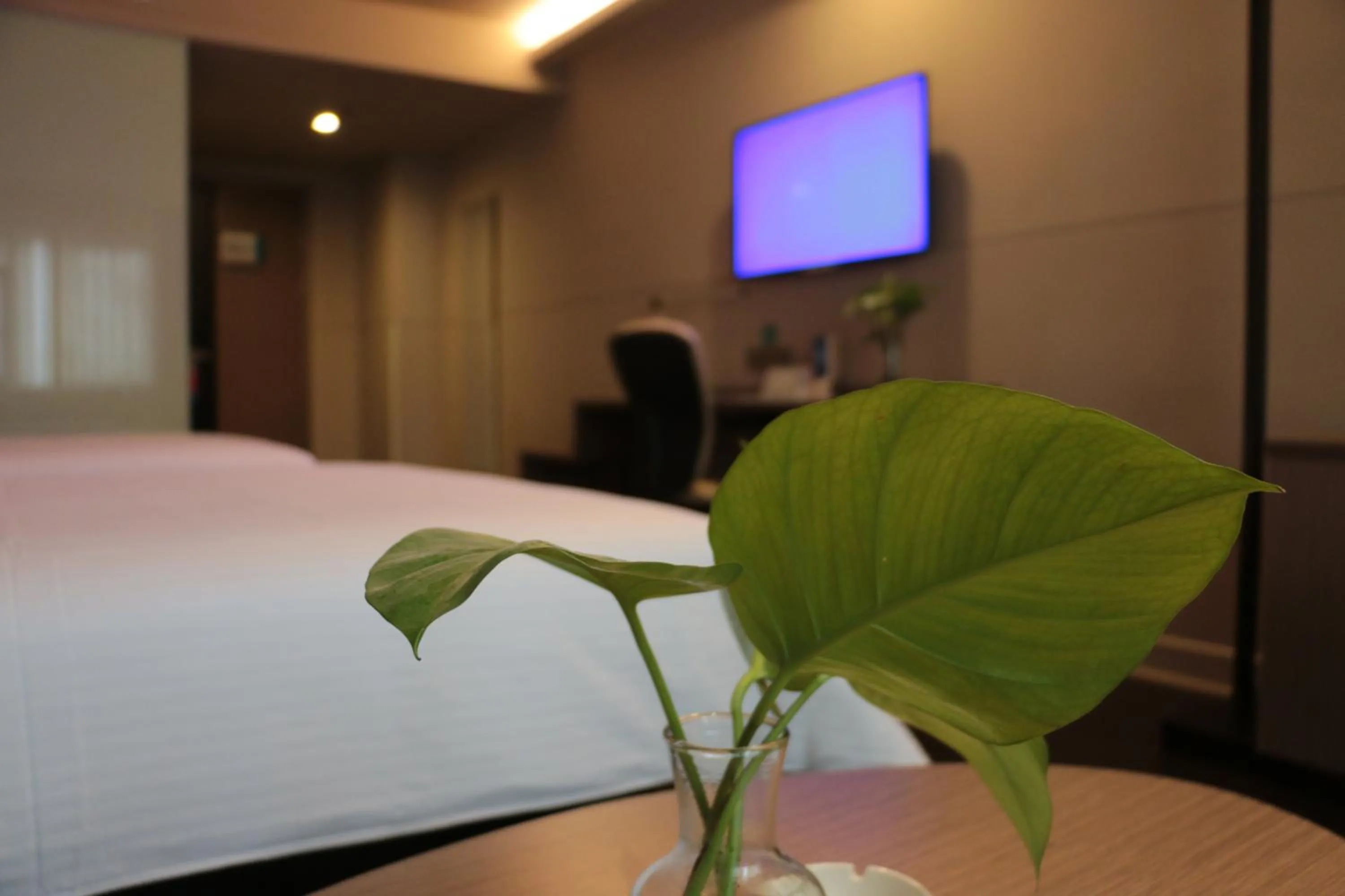 Jinjiang Inn –The Mixc Subway, Nanning