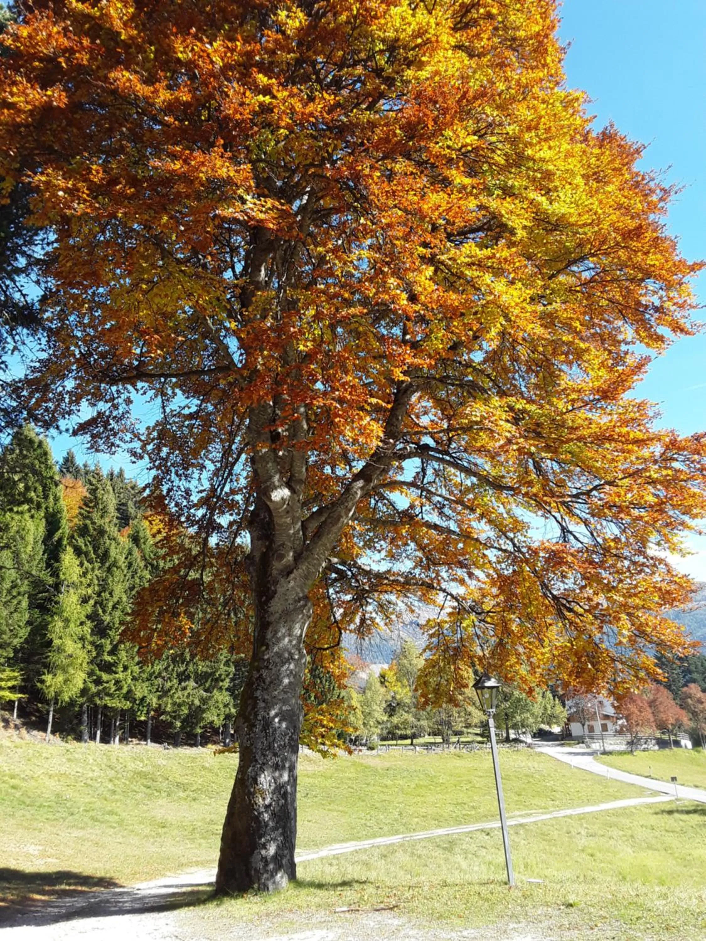 Spring in Chalet Musiera