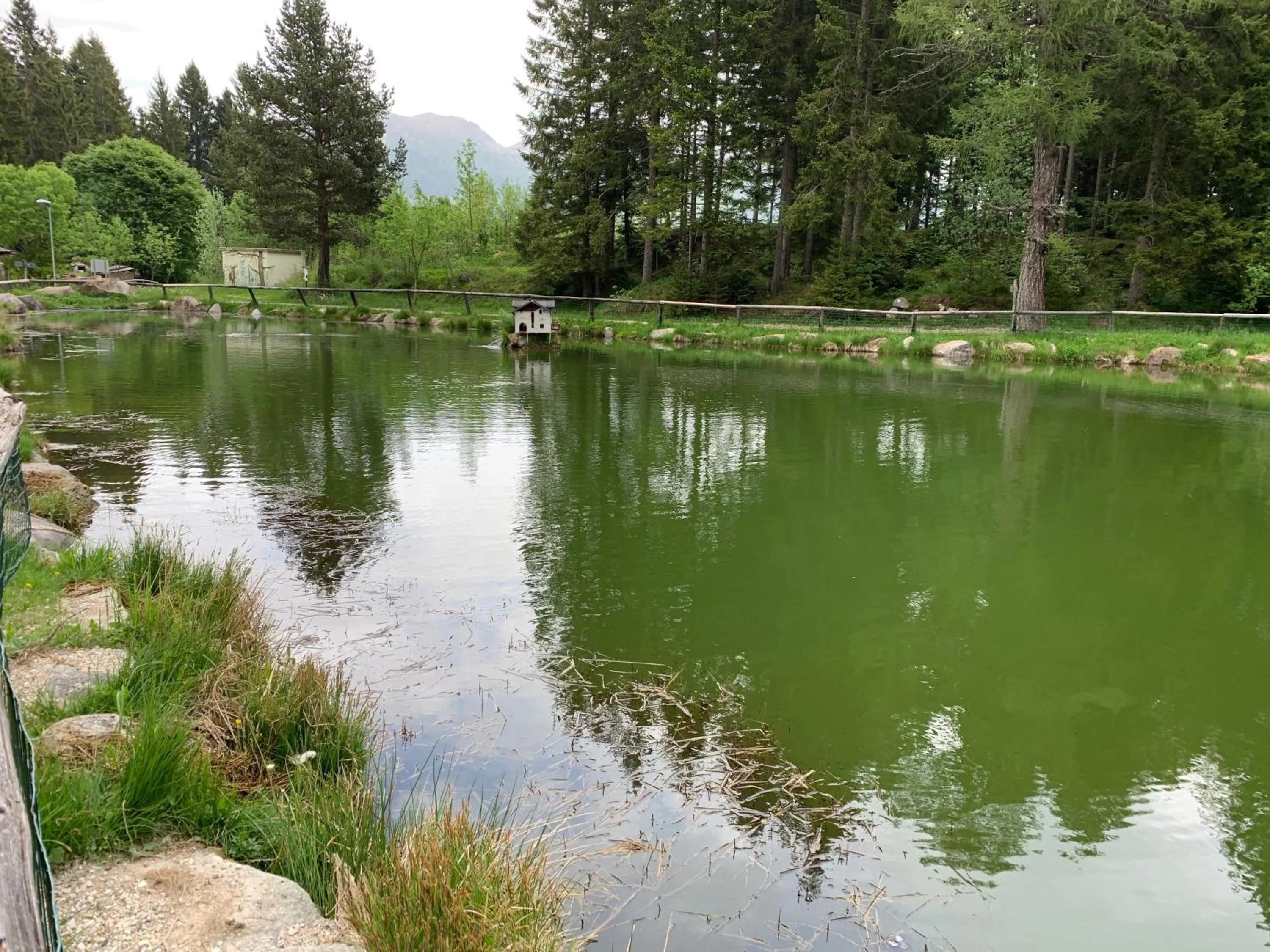 Natural landscape in Chalet Musiera