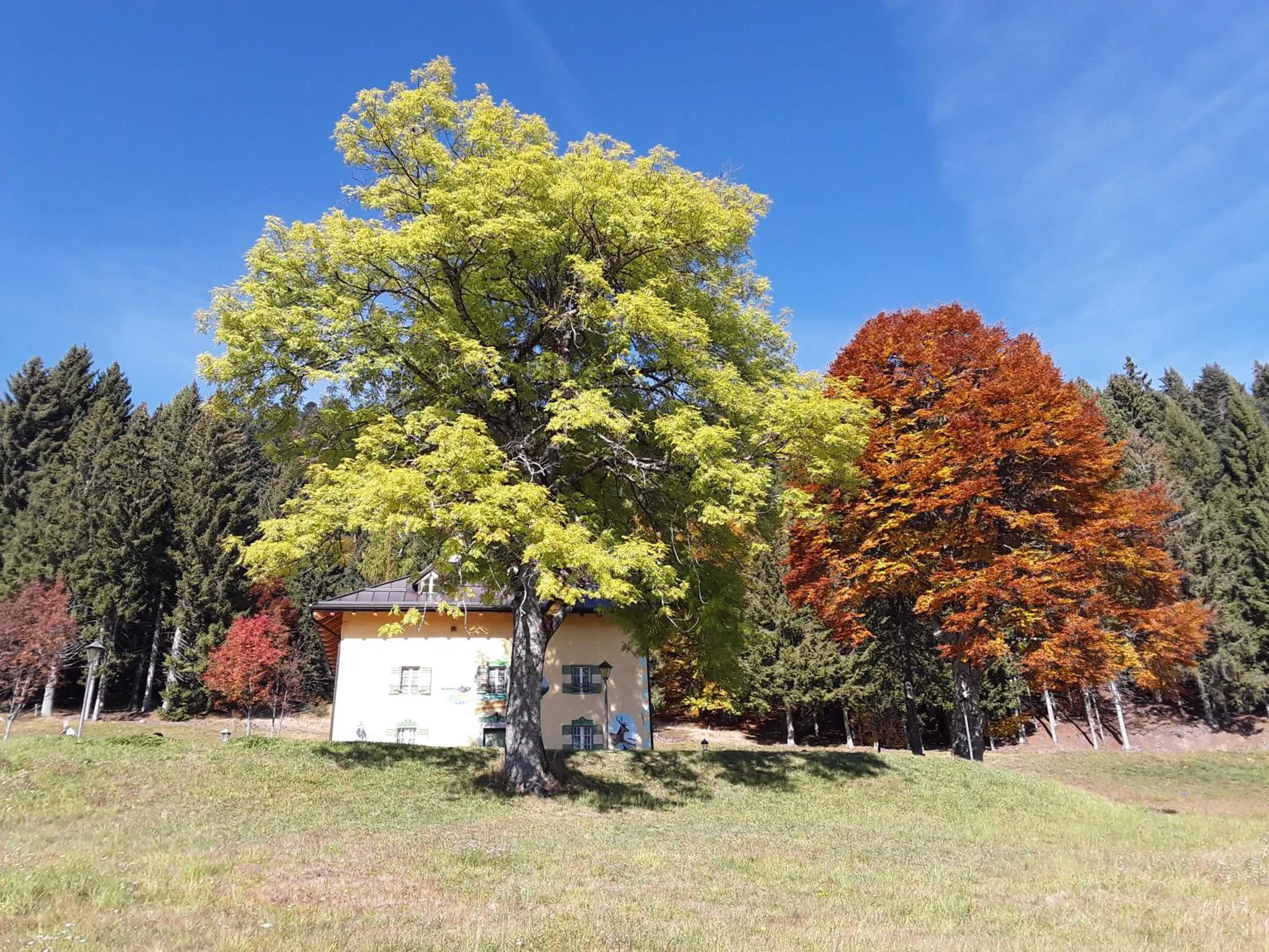Natural landscape in Chalet Musiera