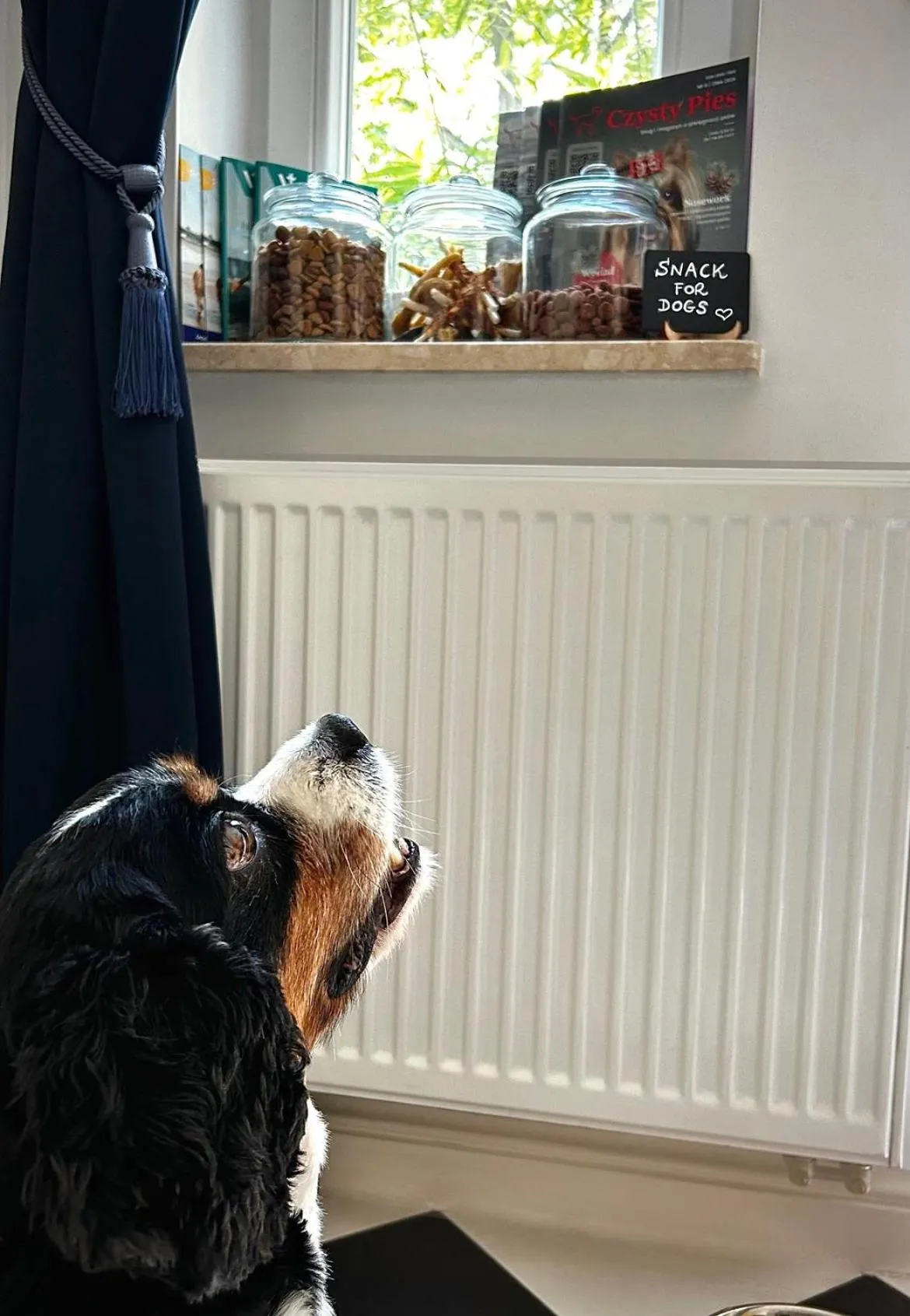 Property building in Villa Antonina