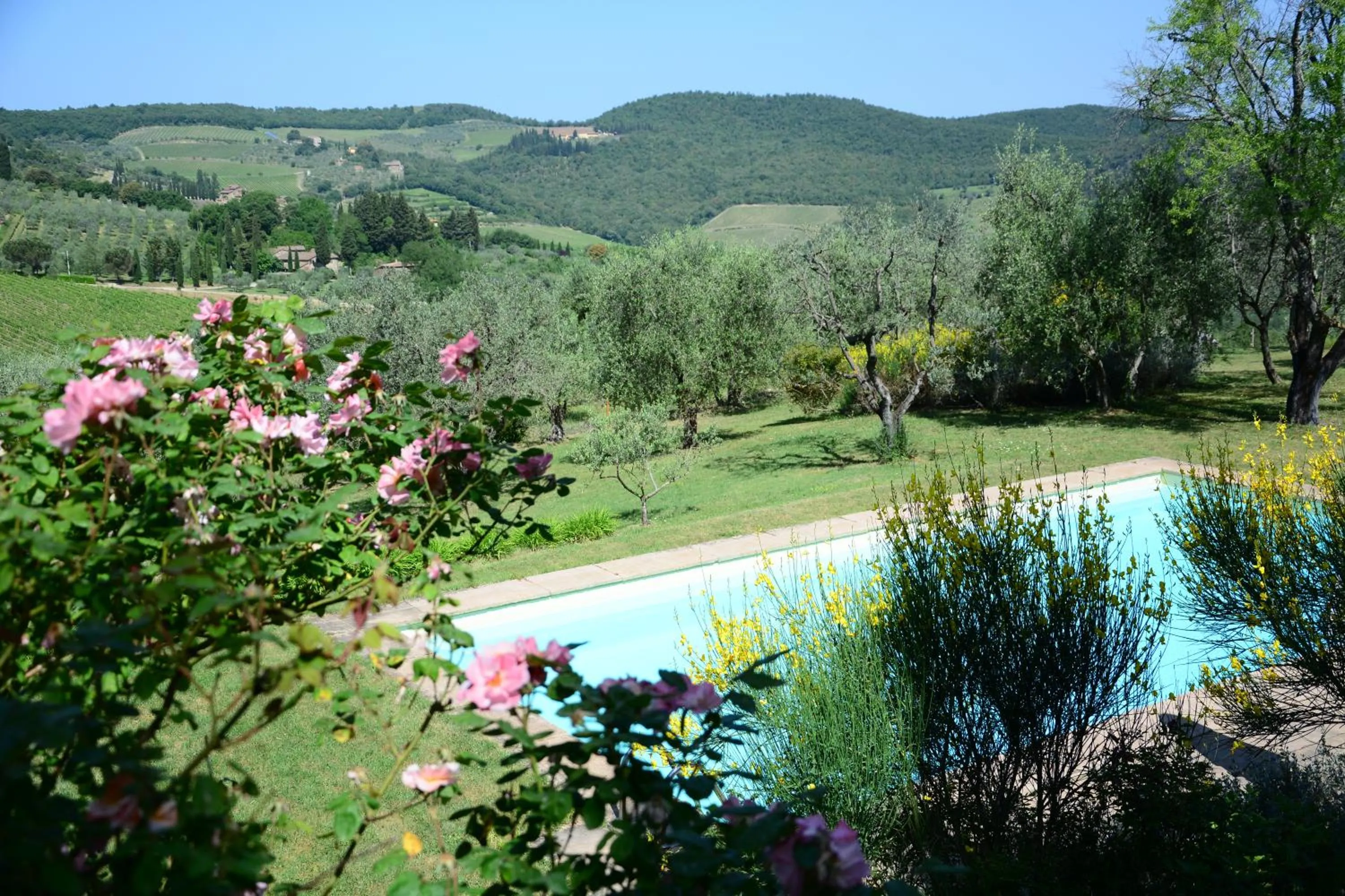 Swimming pool in Relais Fattoria Valle