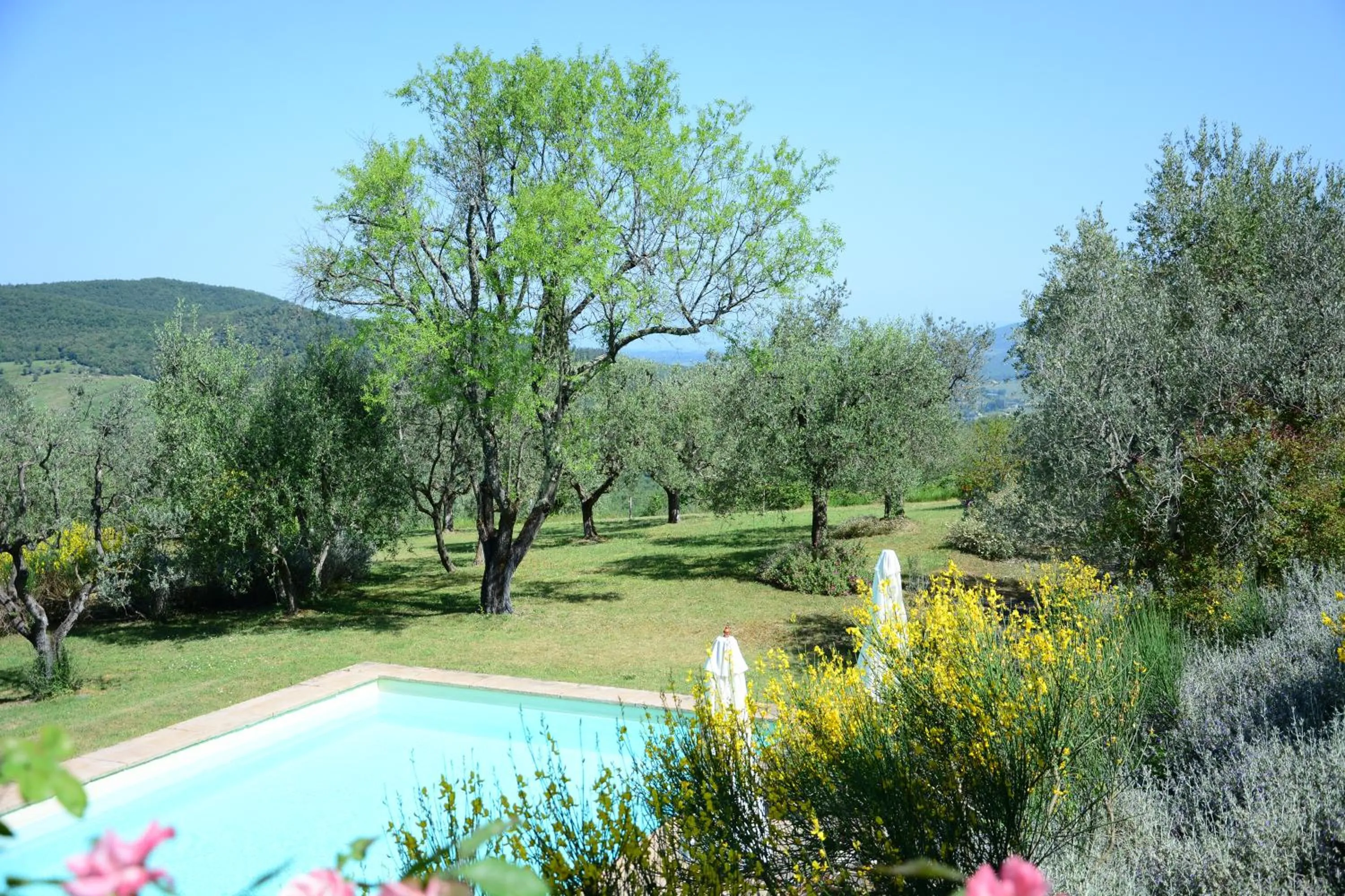Swimming pool in Relais Fattoria Valle