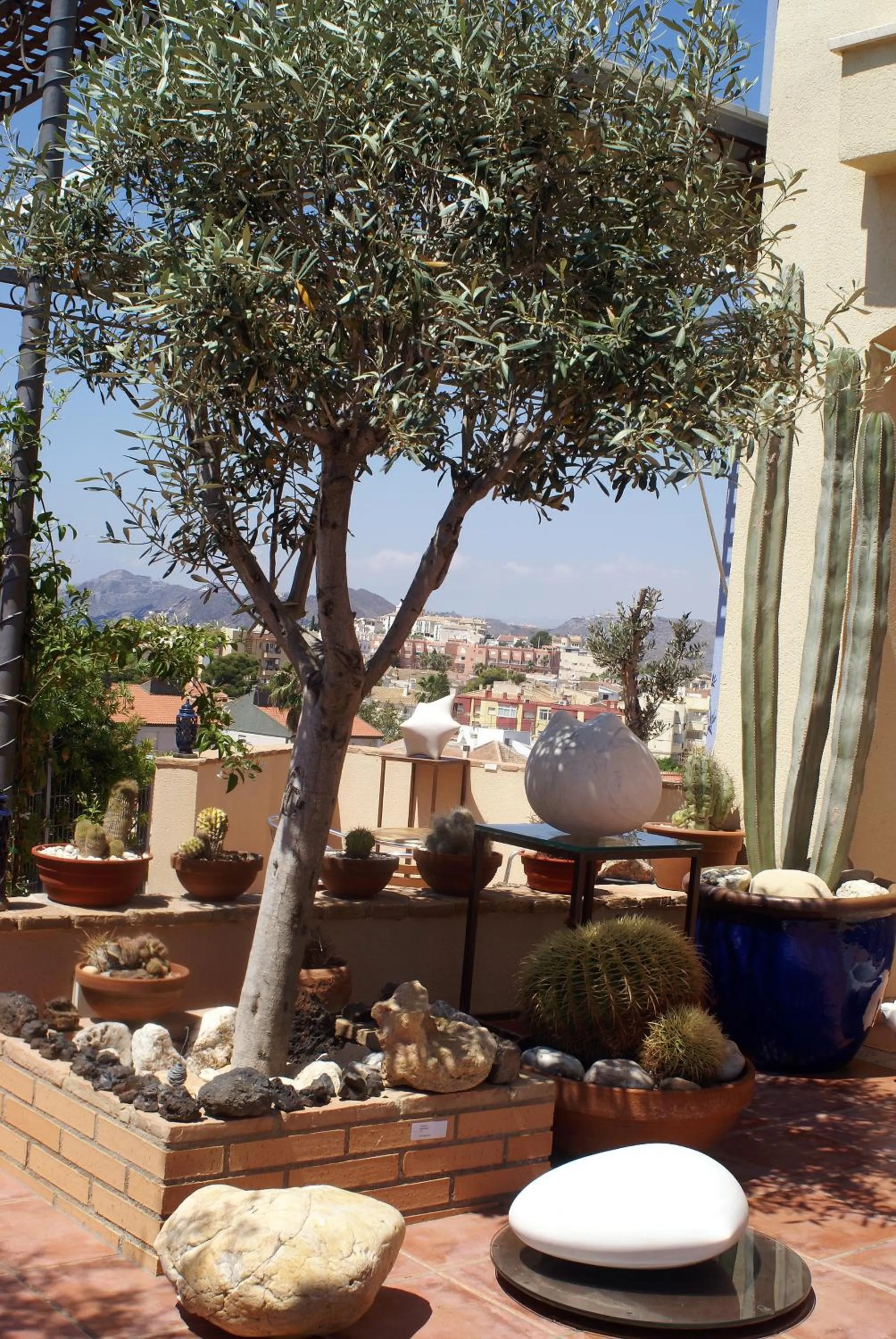 Balcony/Terrace in Hotel Mayarí Boutique Hotel