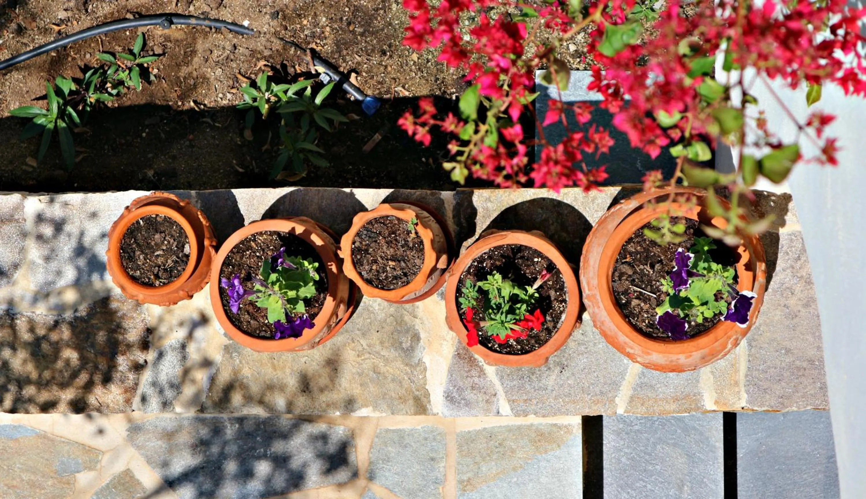 Patio in Proteas Hotel & Suites