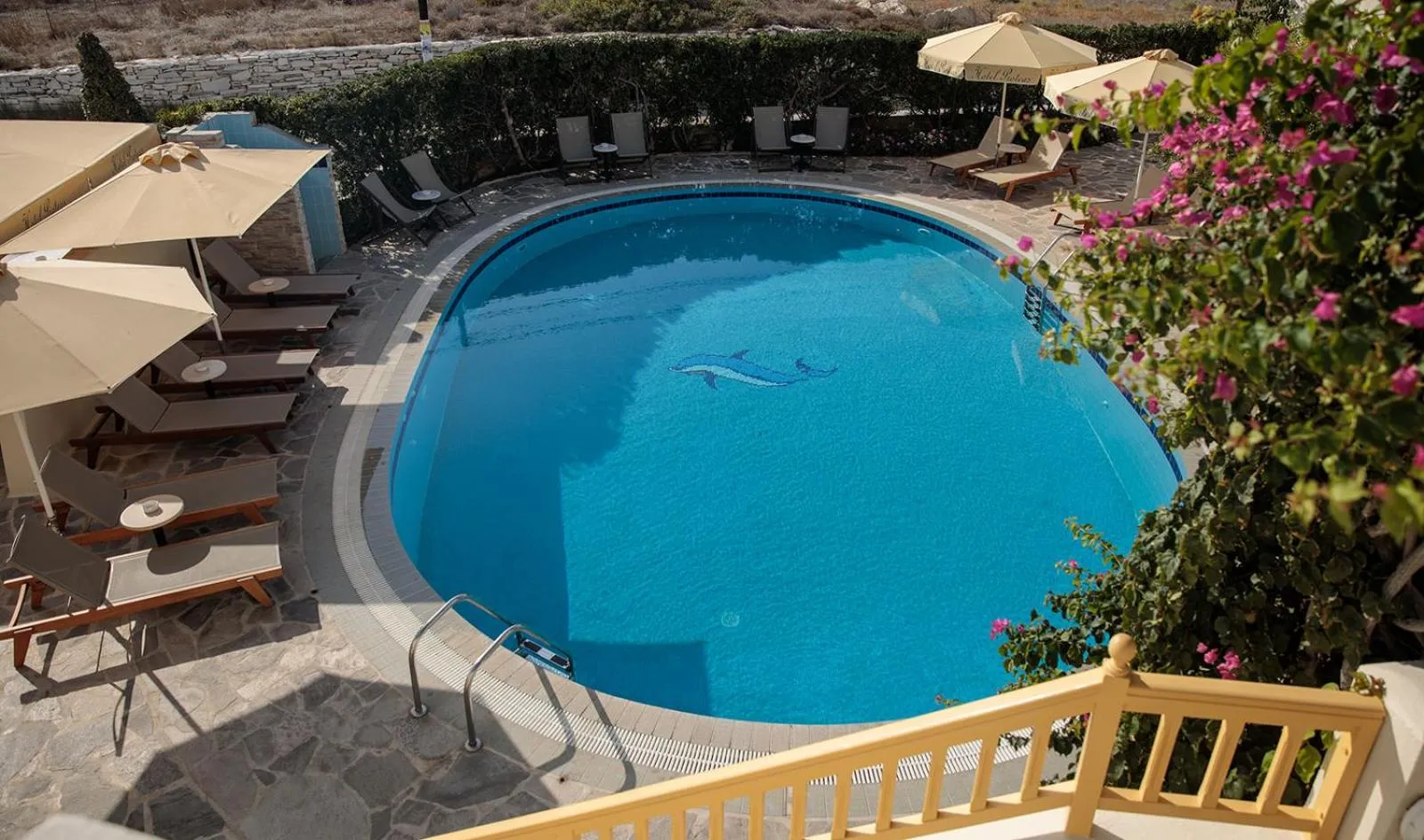 Garden in Proteas Hotel & Suites