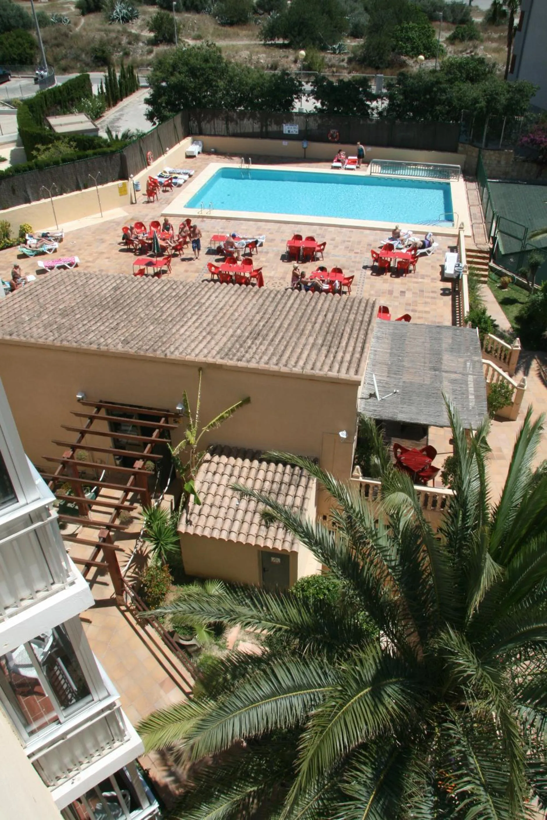 View (from property/room) in Apartamentos Palm Court