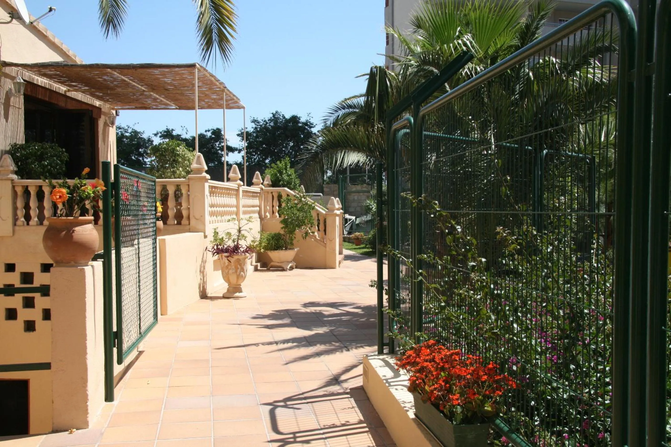Garden in Apartamentos Palm Court