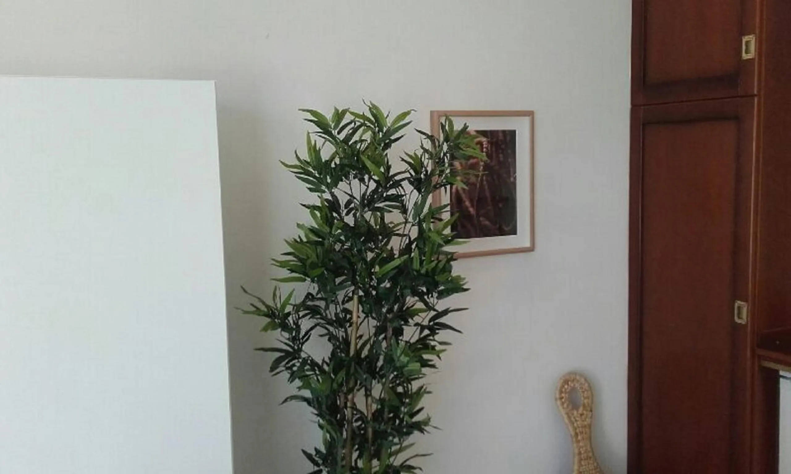 Photo of the whole room in El Globo