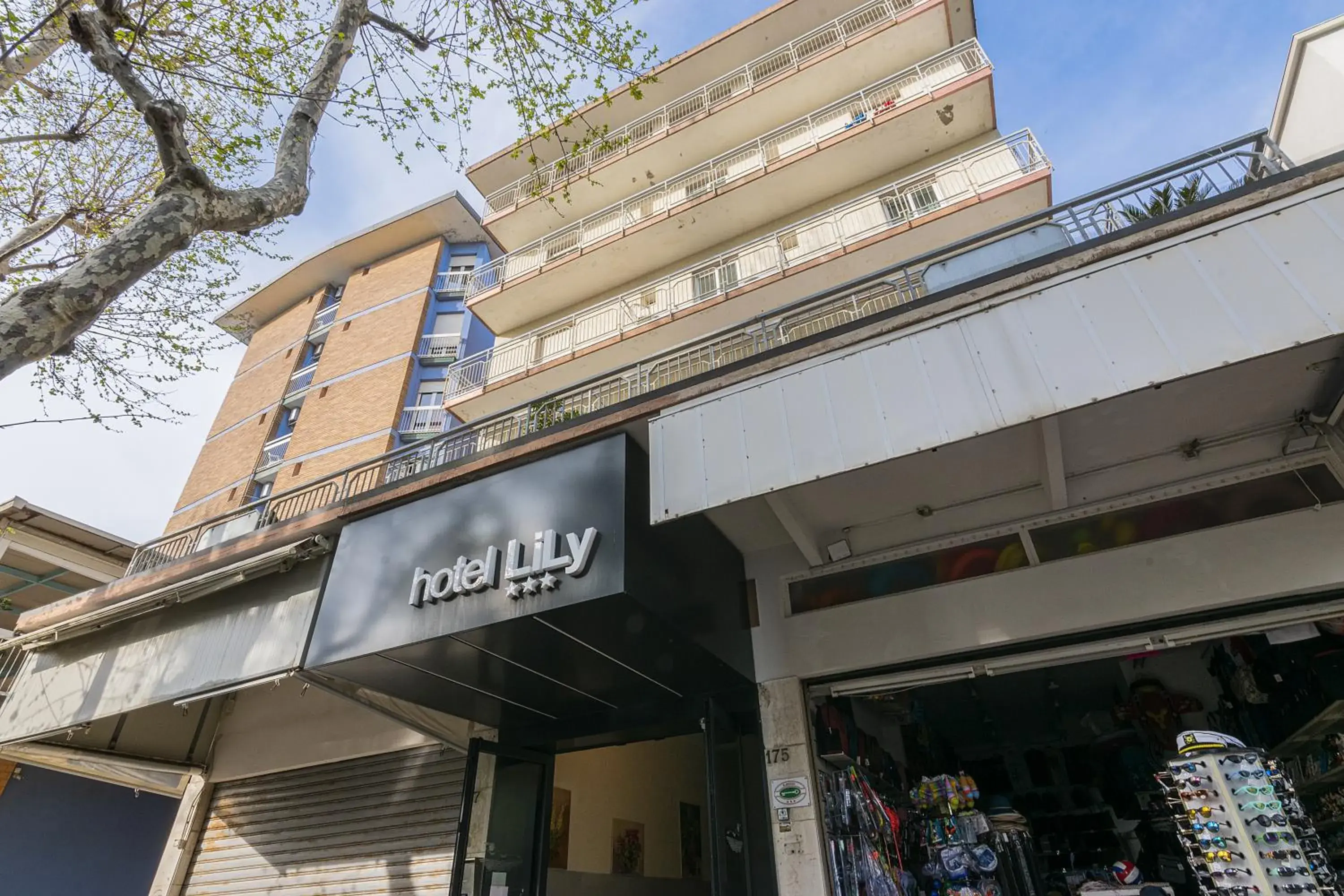 Hotel Lily Hotel Lily