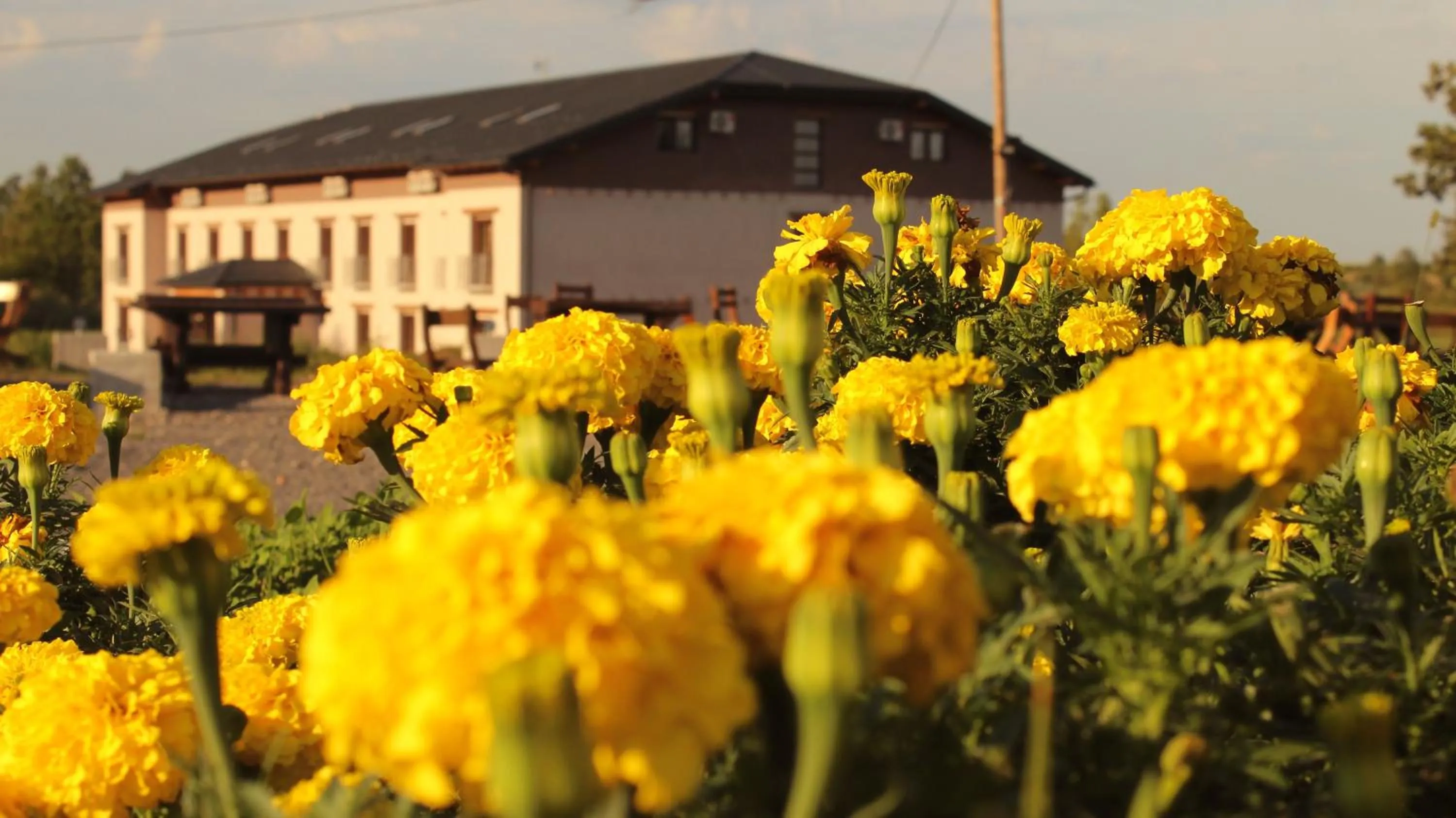 Facade/entrance in Resort Big House Plitvička jezera