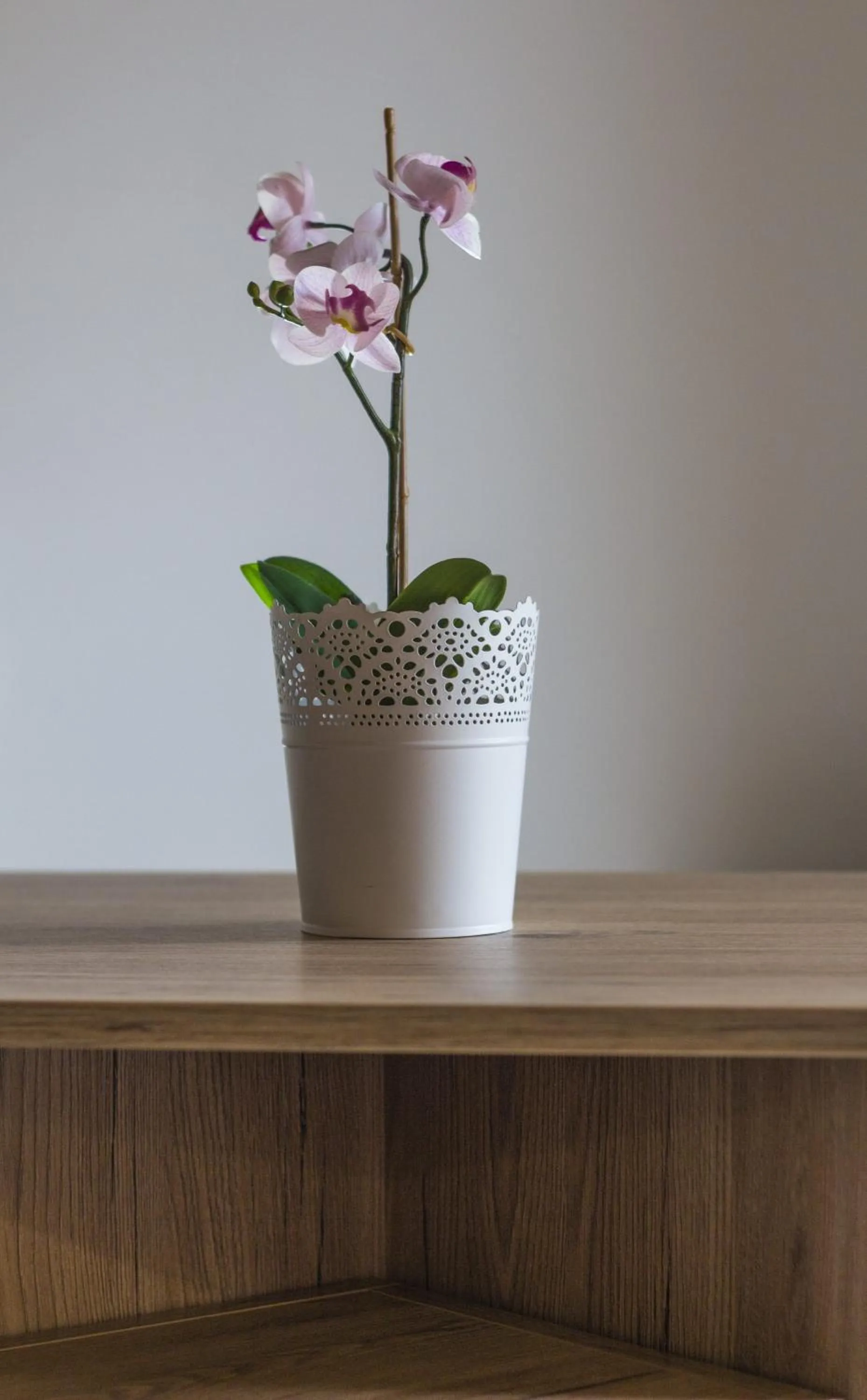 Resort Big House Plitvička jezera