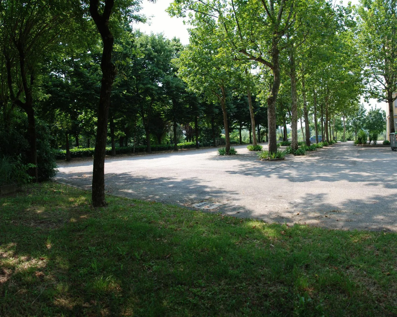 Garden in Hotel Olimpic