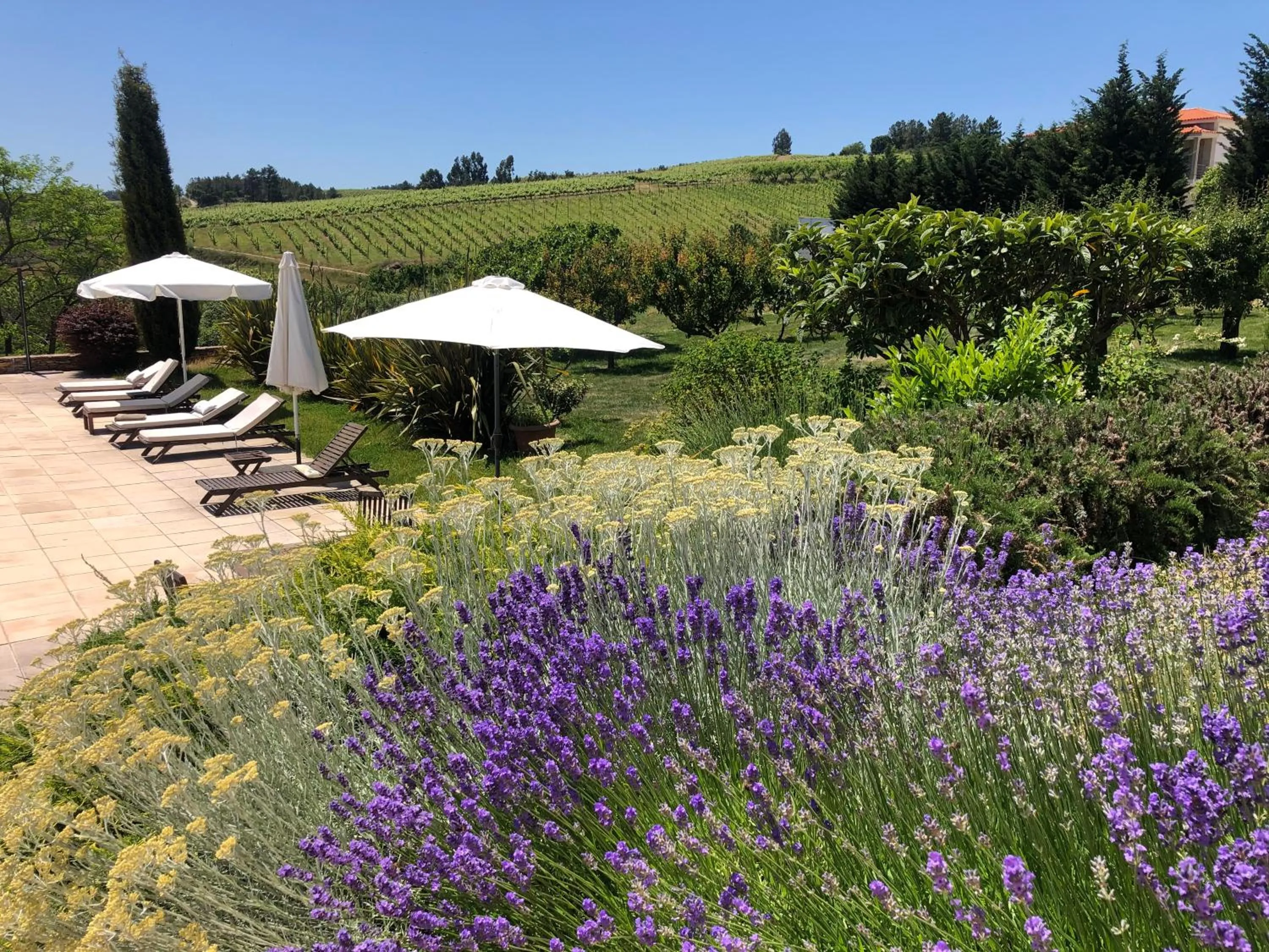 Quinta Da Pereira E Enricas Agro-Turismo