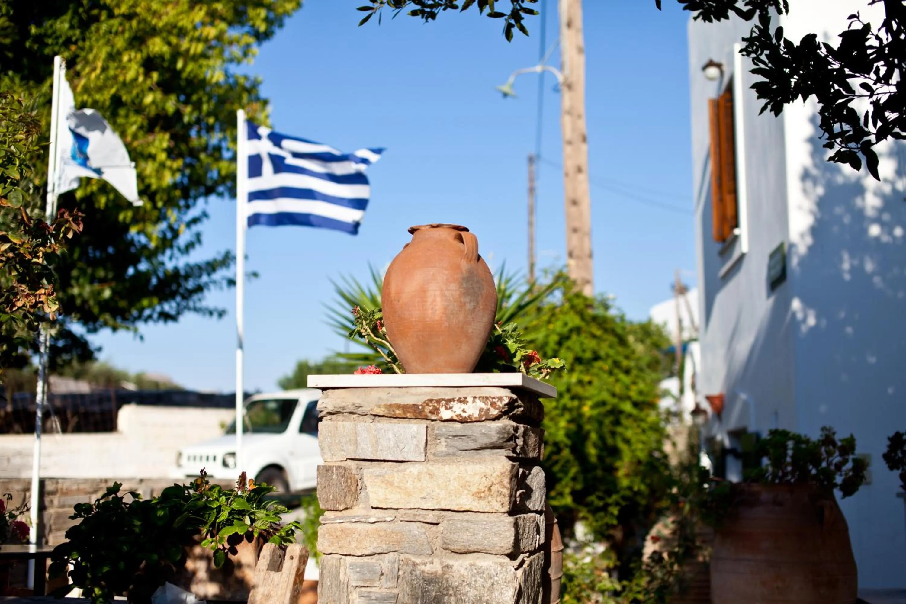 Garden in Margarita Studios