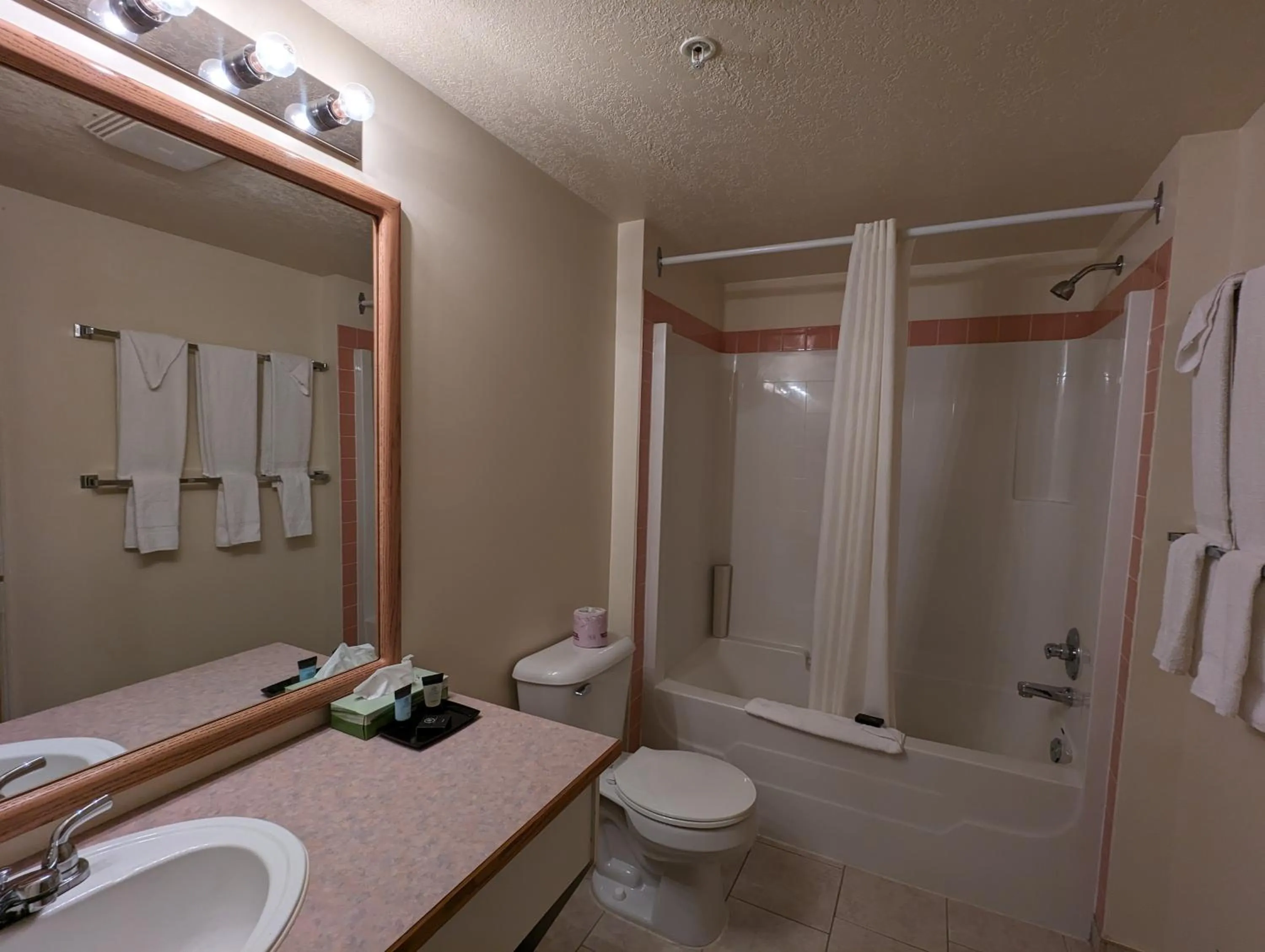 Deluxe Suite with Spa Bath in Western Budget Motel Leduc #3