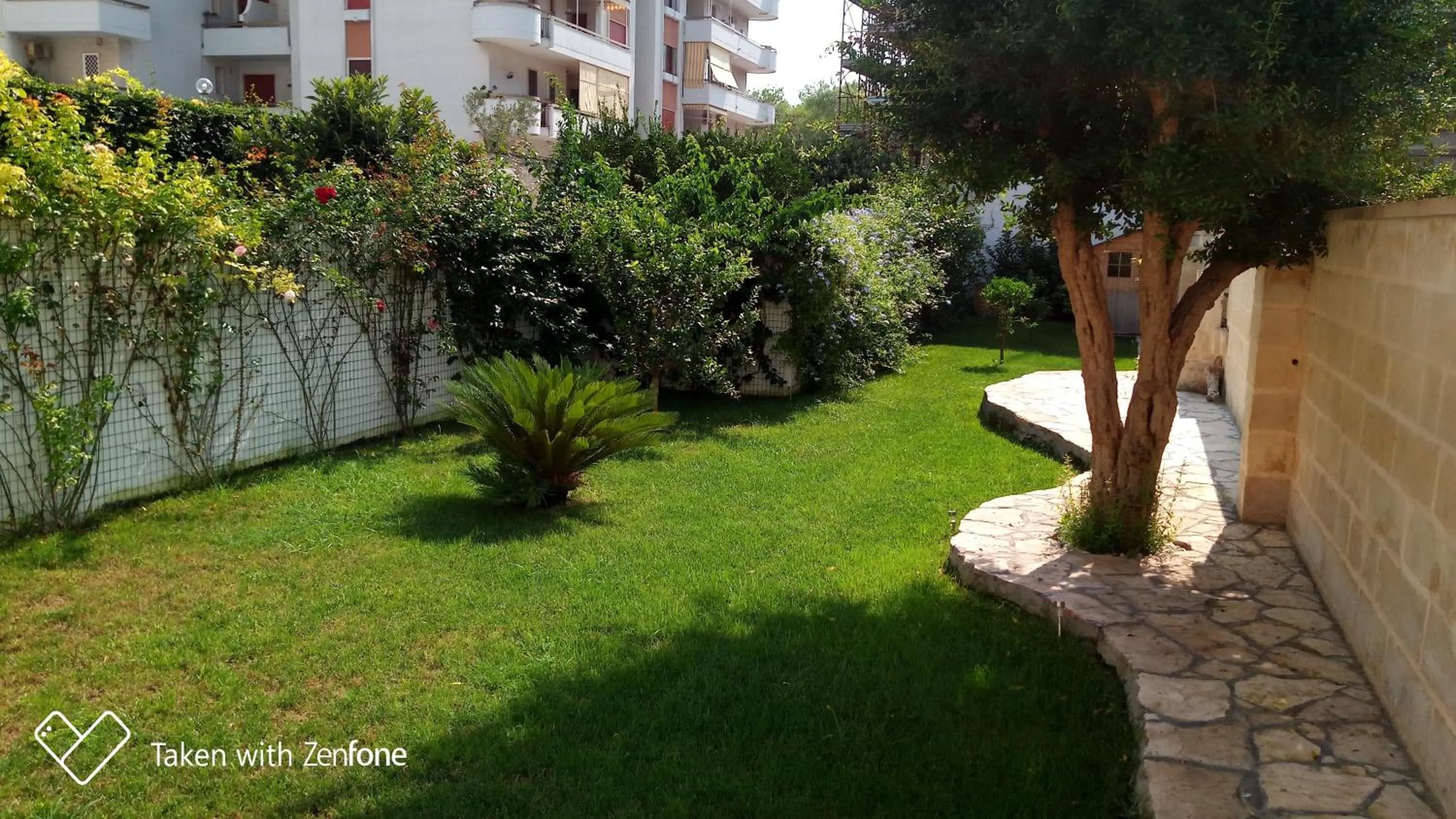 Garden in B&B Excelsior