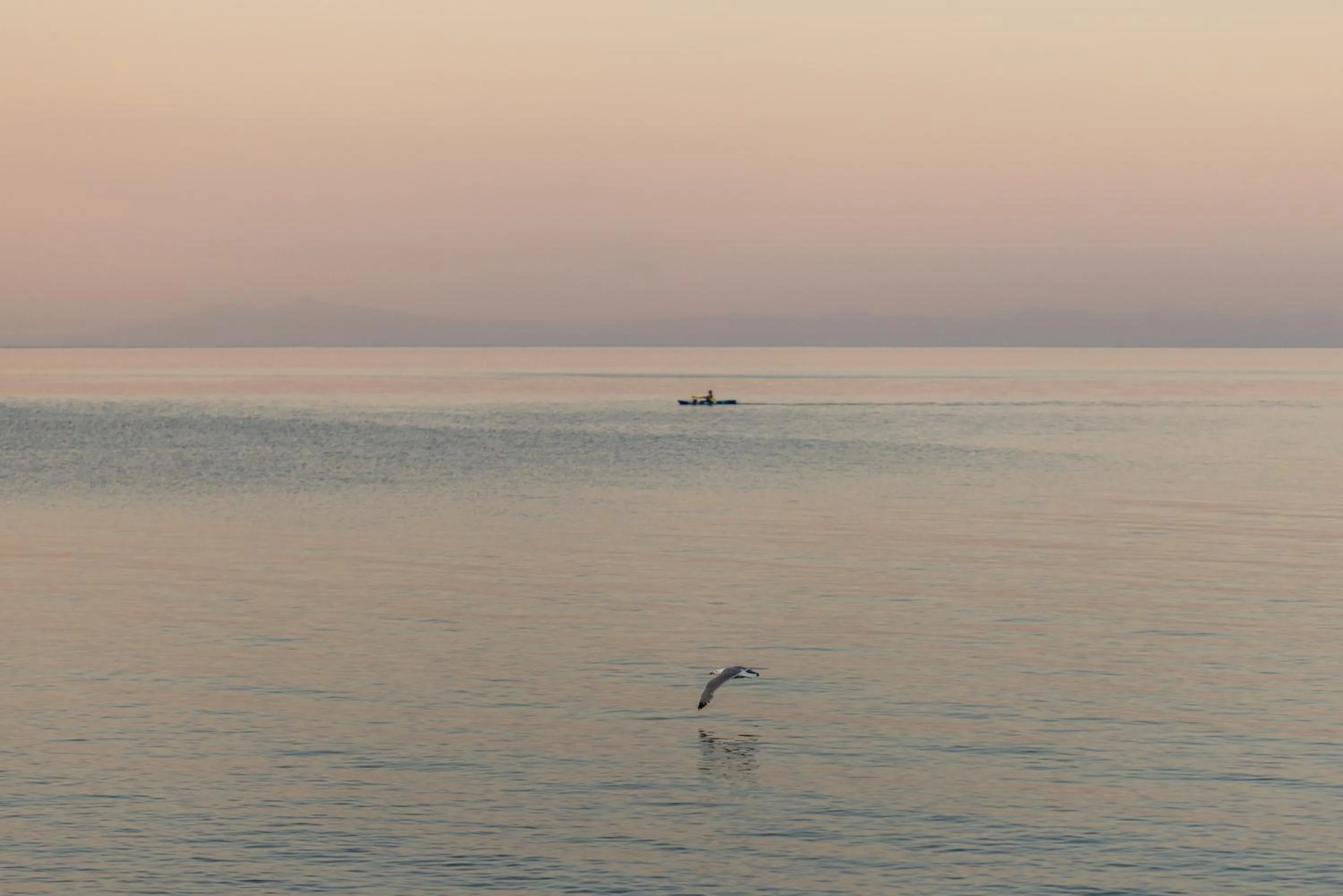 Restaurant/places to eat in Kymata Hotel