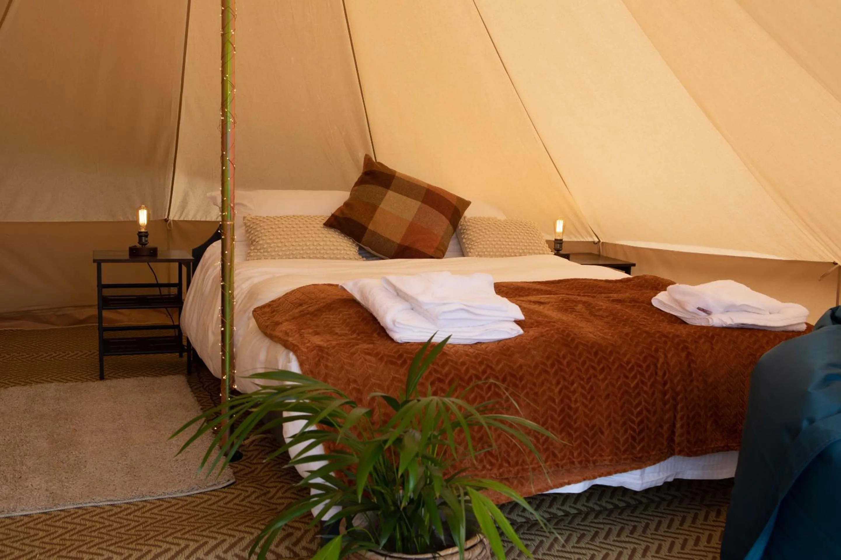 Activities, Bed in The Three Tuns