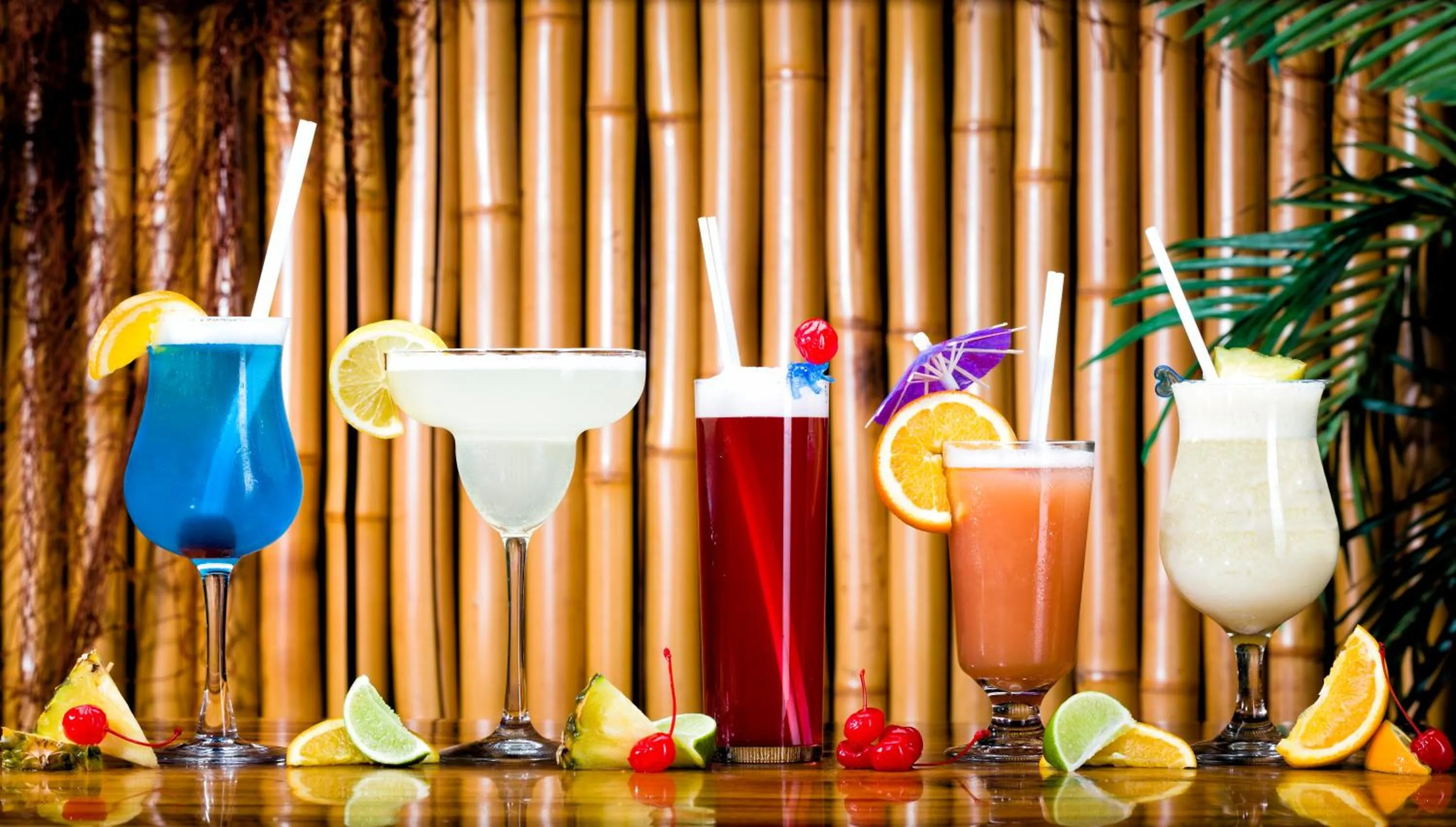 Nightclub / DJ in Hotel-Motel Coconut