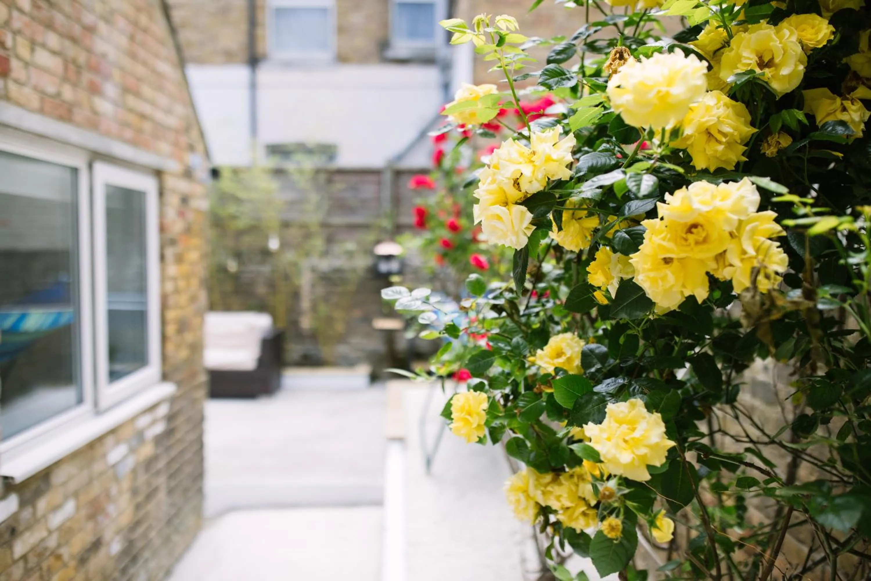 Nearby landmark in Sea View Sanctuary Apartment!