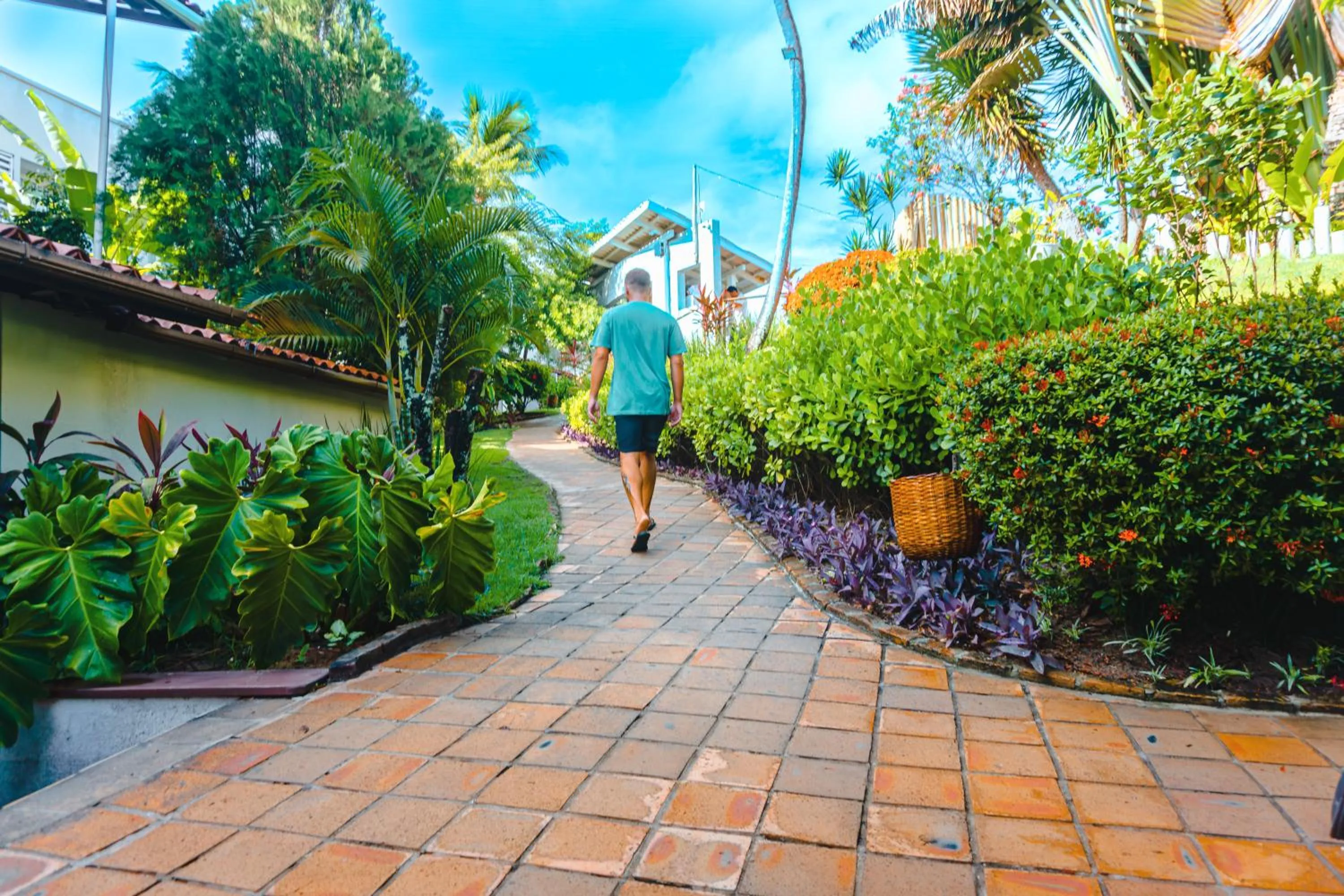 Garden in Hotel Pipa Atlântico