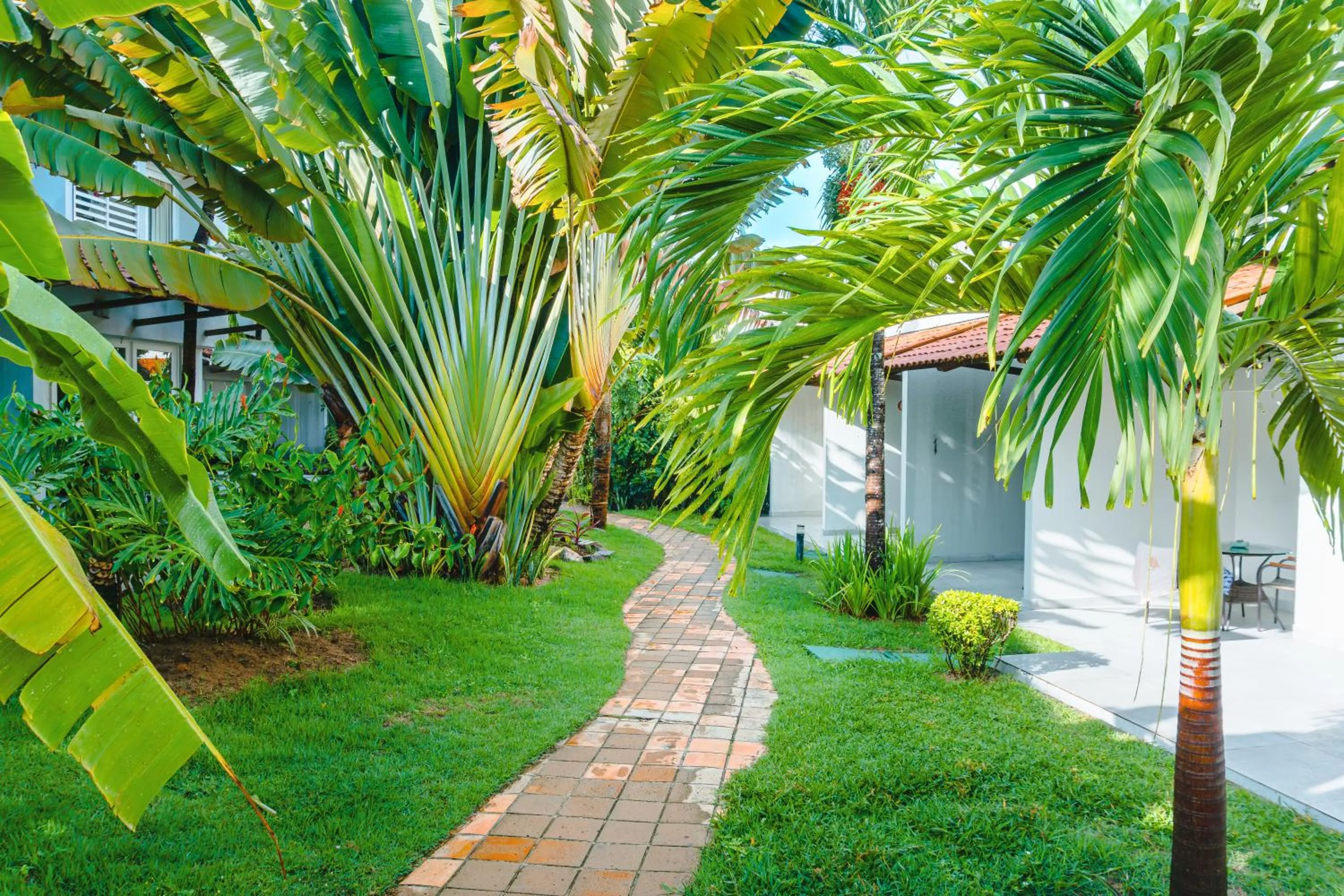 Garden in Hotel Pipa Atlântico