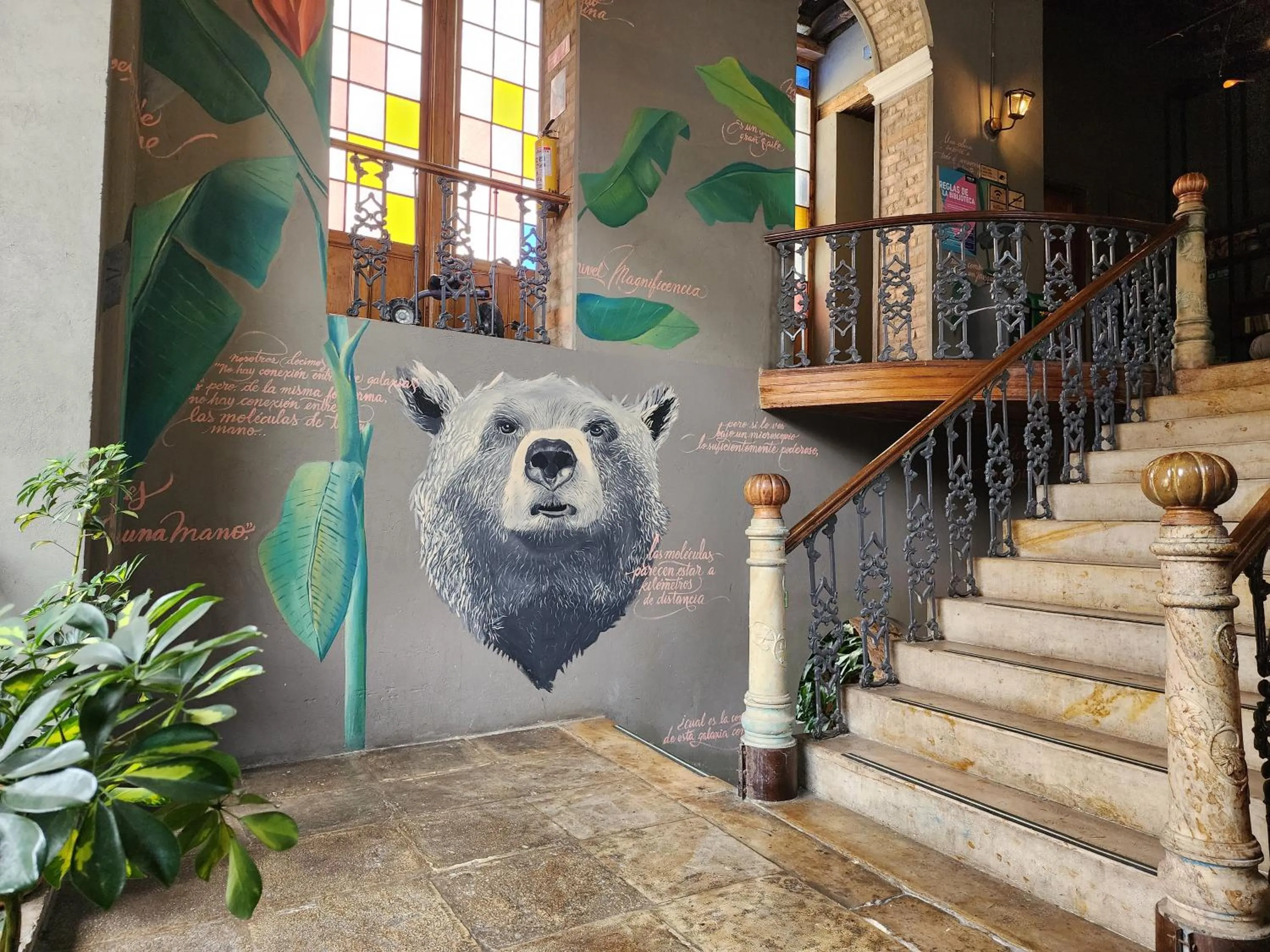 Area and facilities in Delgadillo Hotel by Socialtel