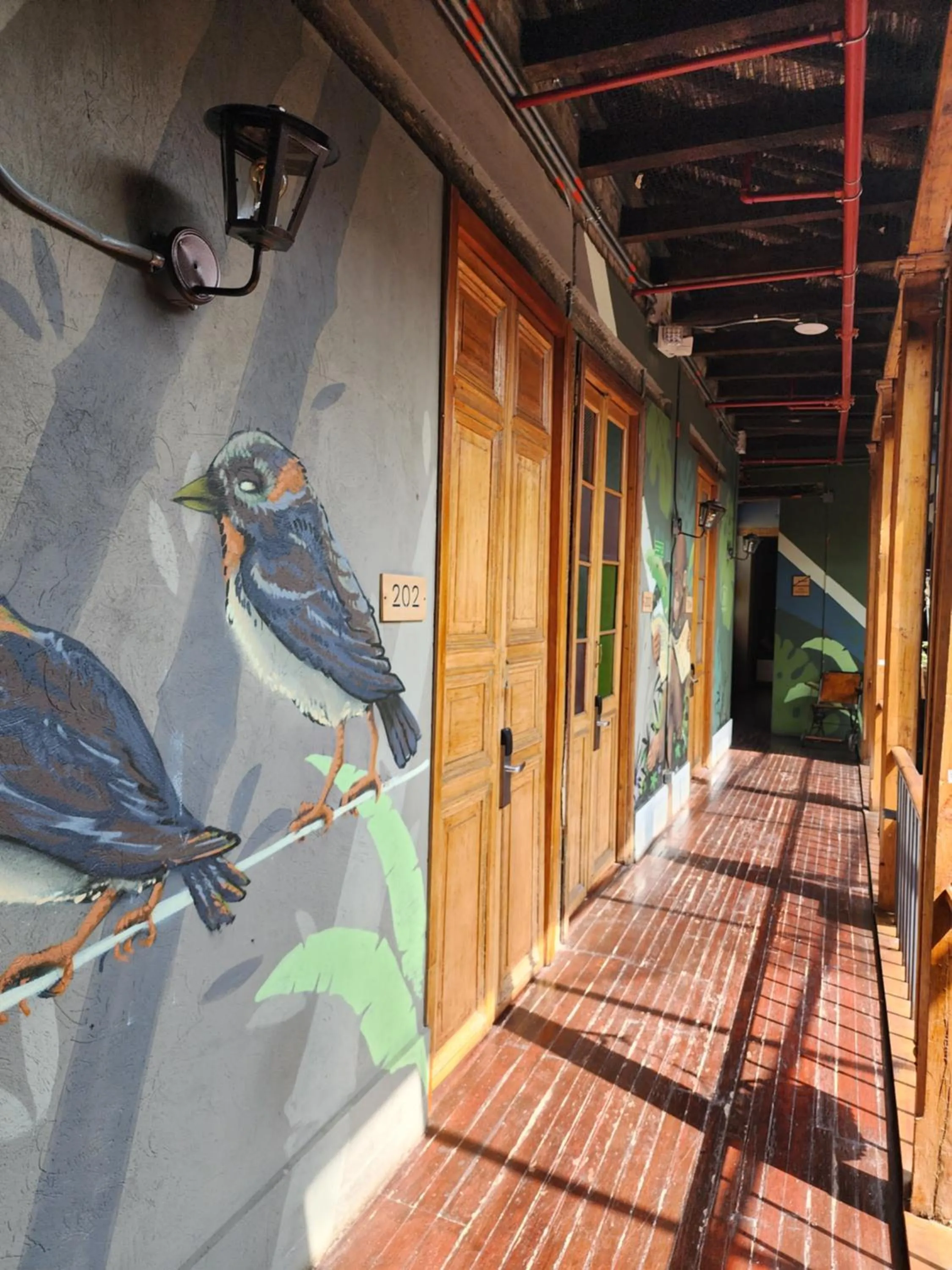 Area and facilities in Delgadillo Hotel by Socialtel