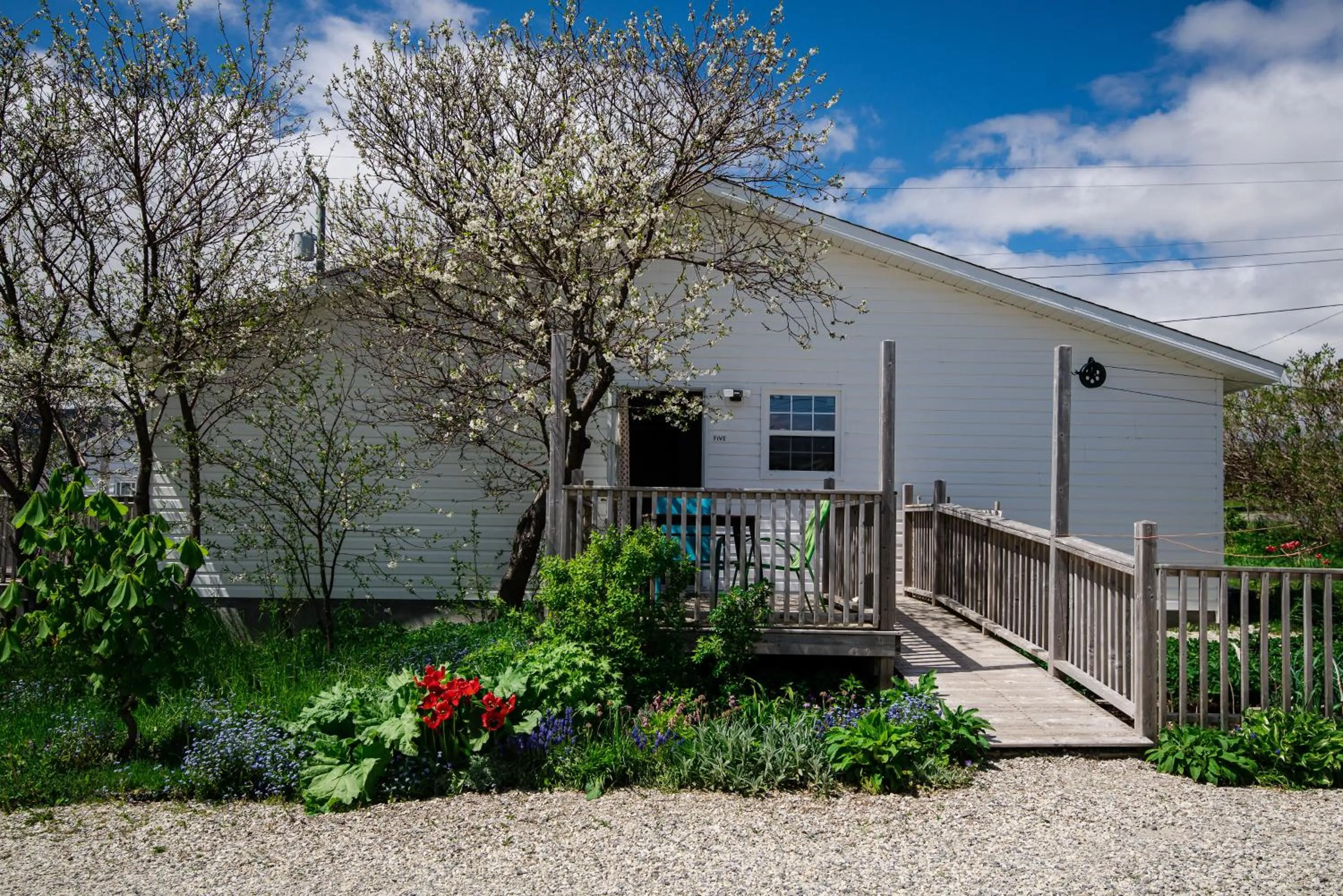 Property building in Out East B&B - Norris Point