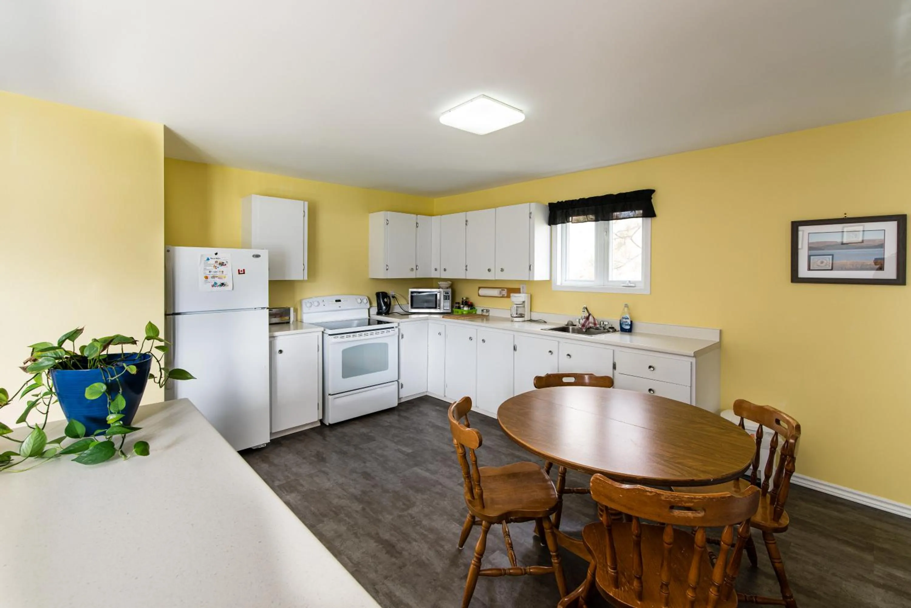 Kitchen or kitchenette in Out East B&B - Norris Point